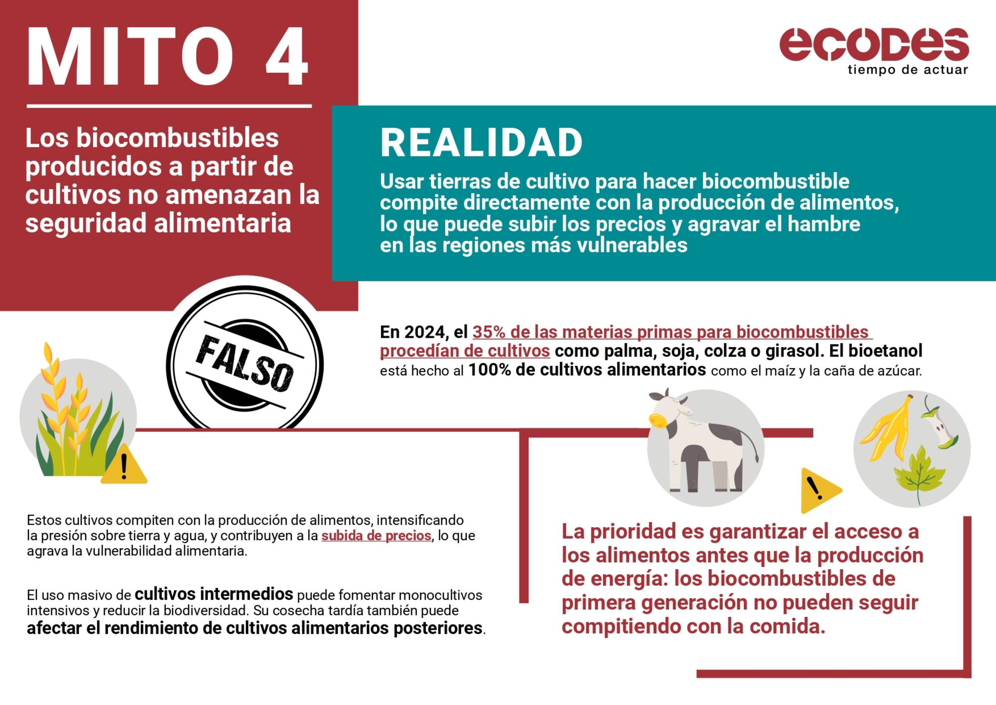 Cazamitos Ecodes: biocombustibles - 4