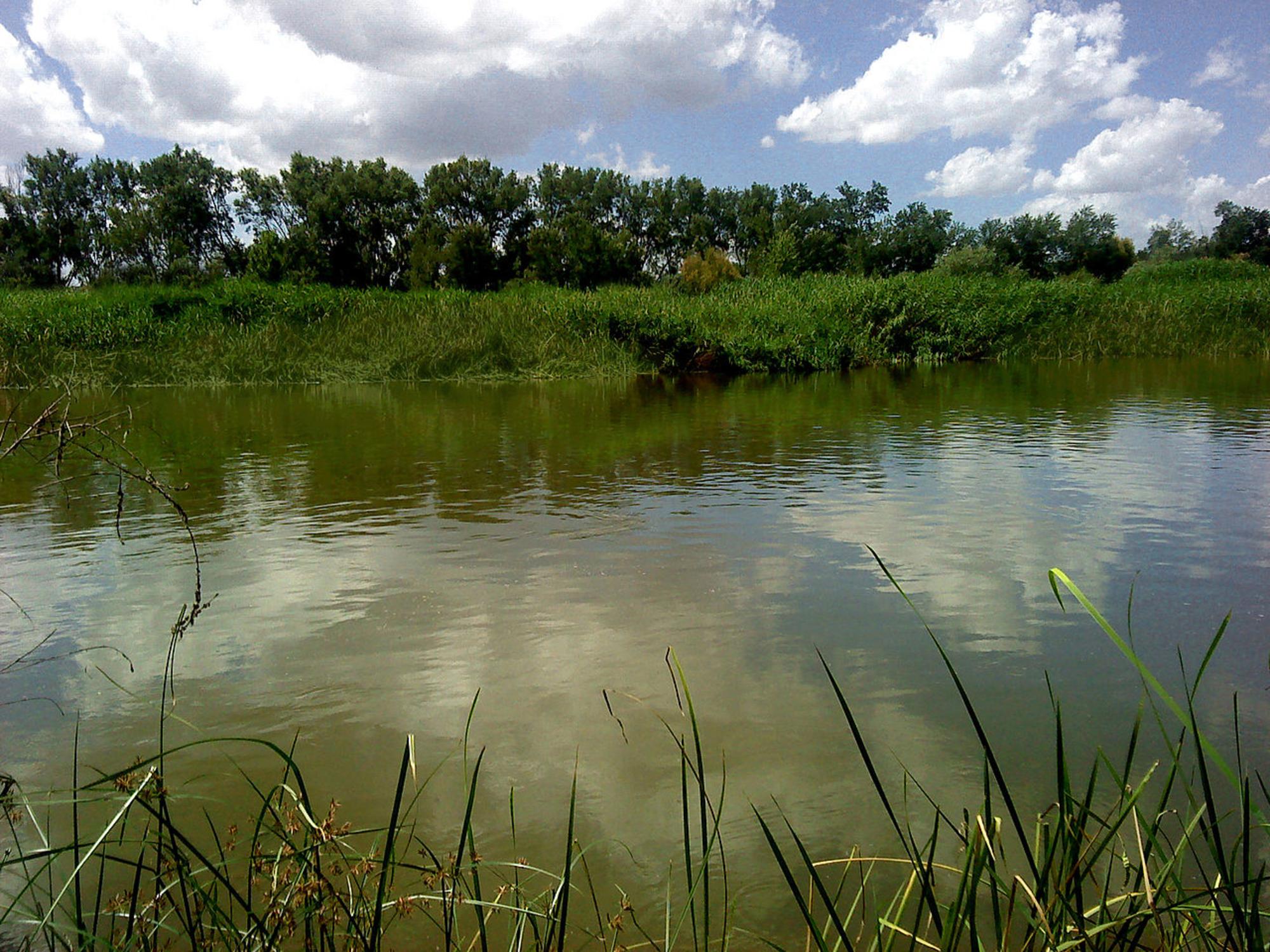 Río Tajo Talavera