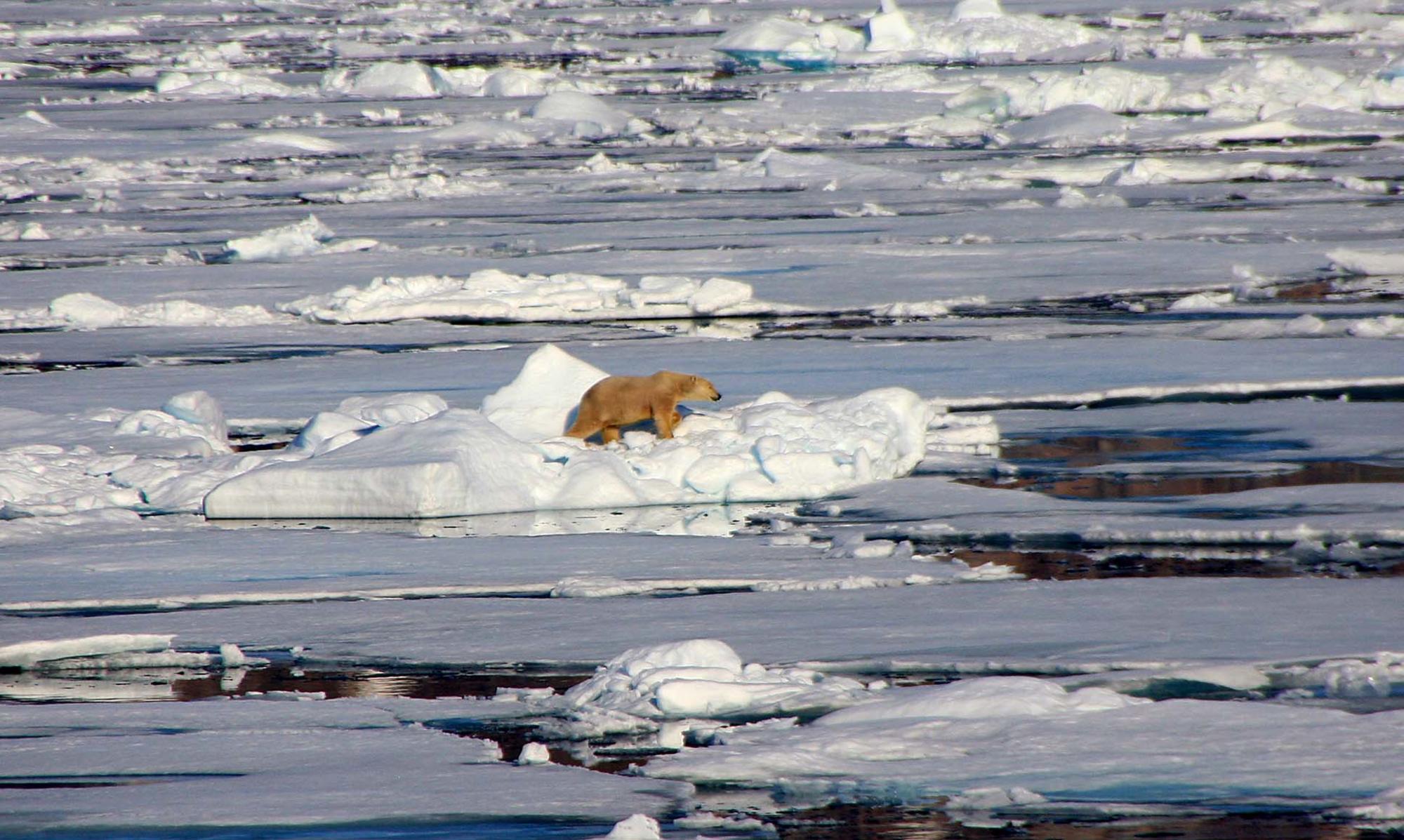 svalbard