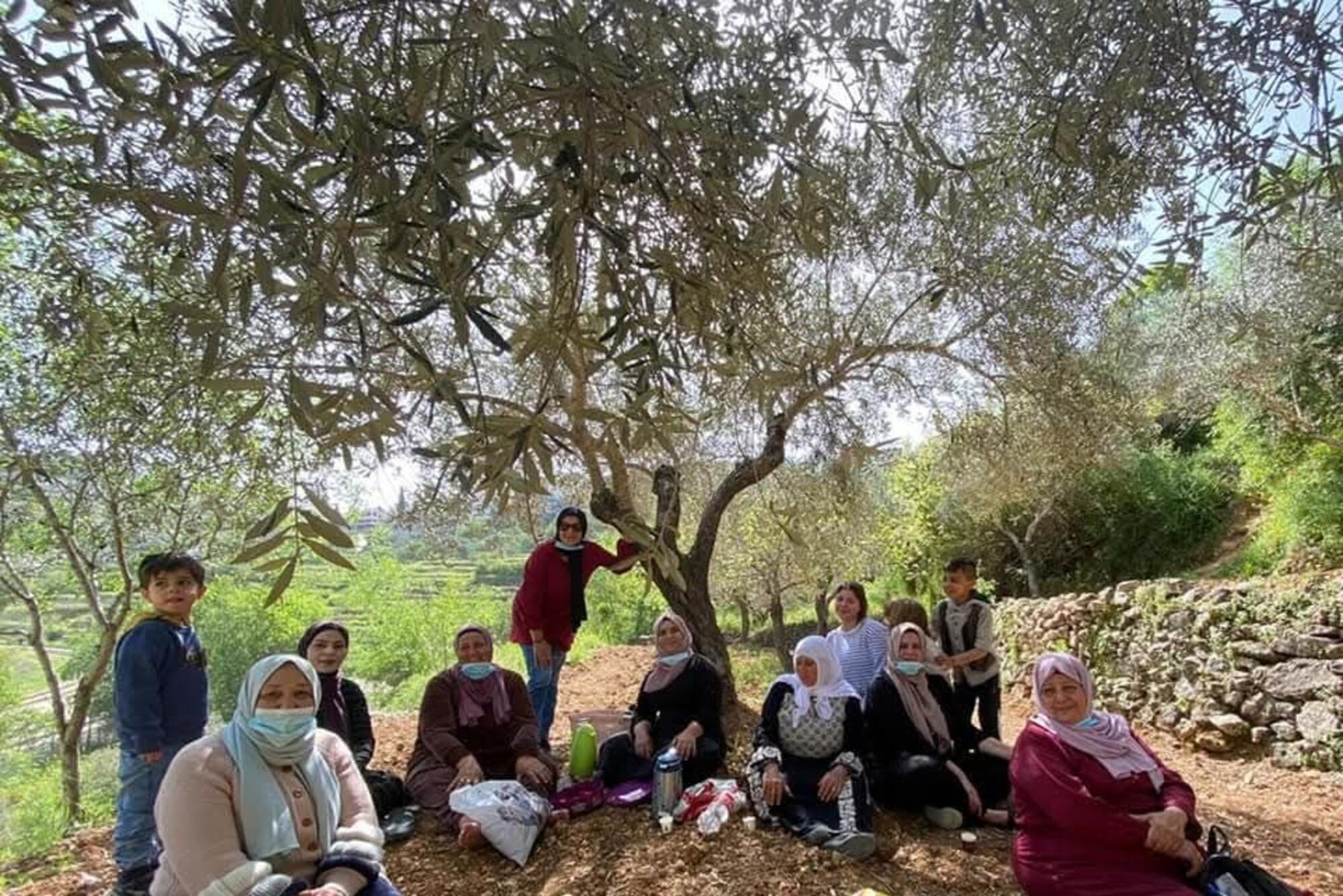 Mujeres aceituneras de Battir, Palestina