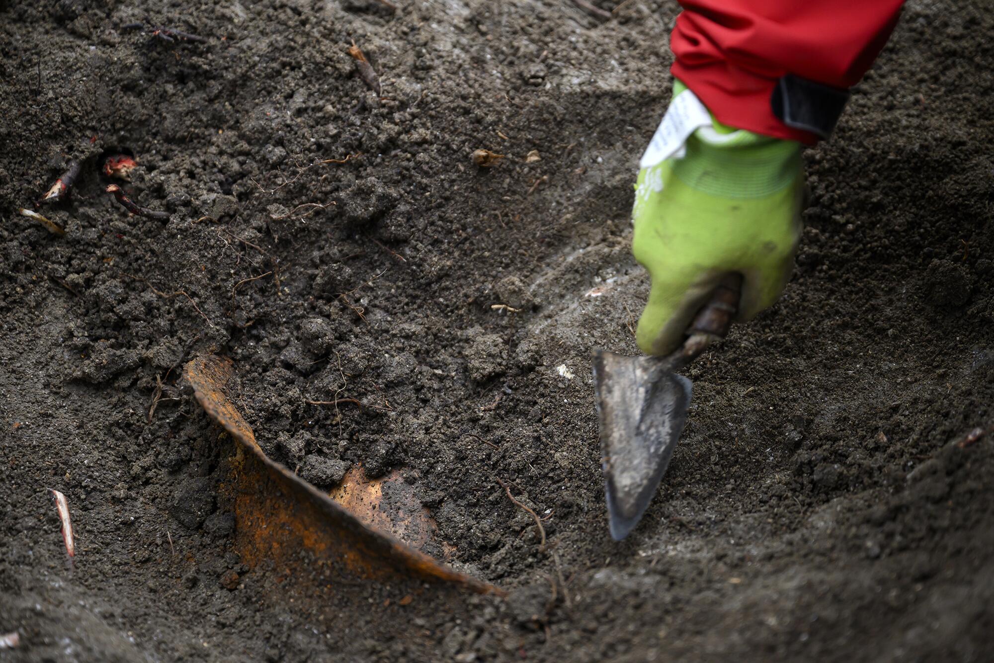 Brigadista Boadilla - 2