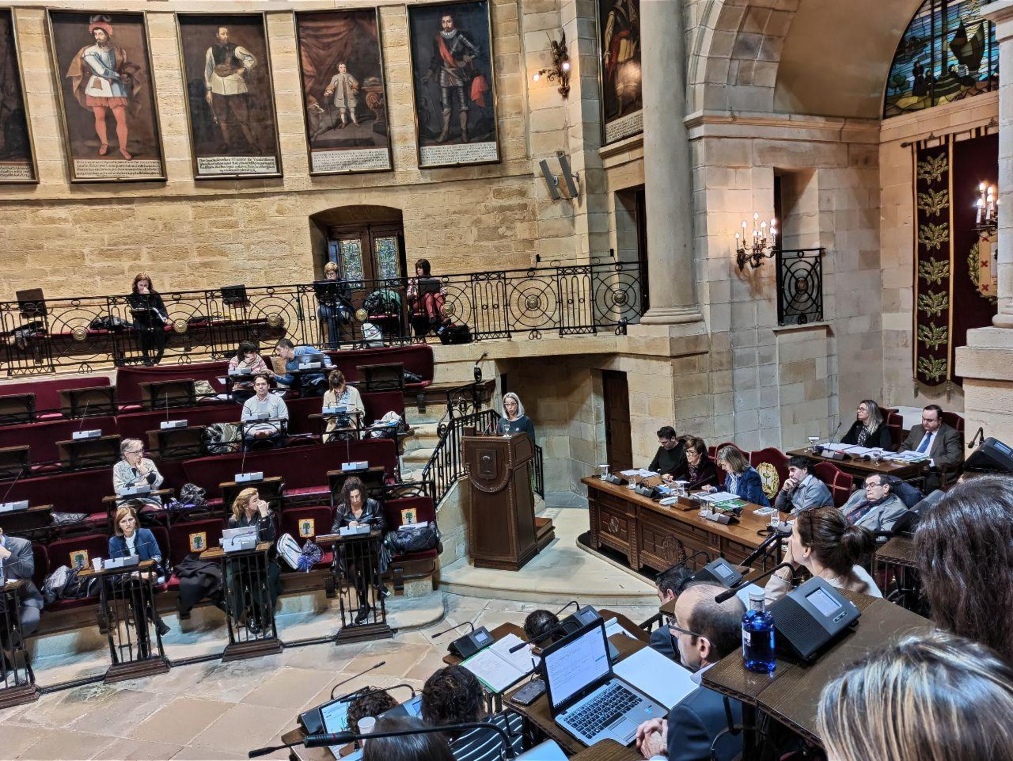 Pleno de Juntas Generales de Bizkaia