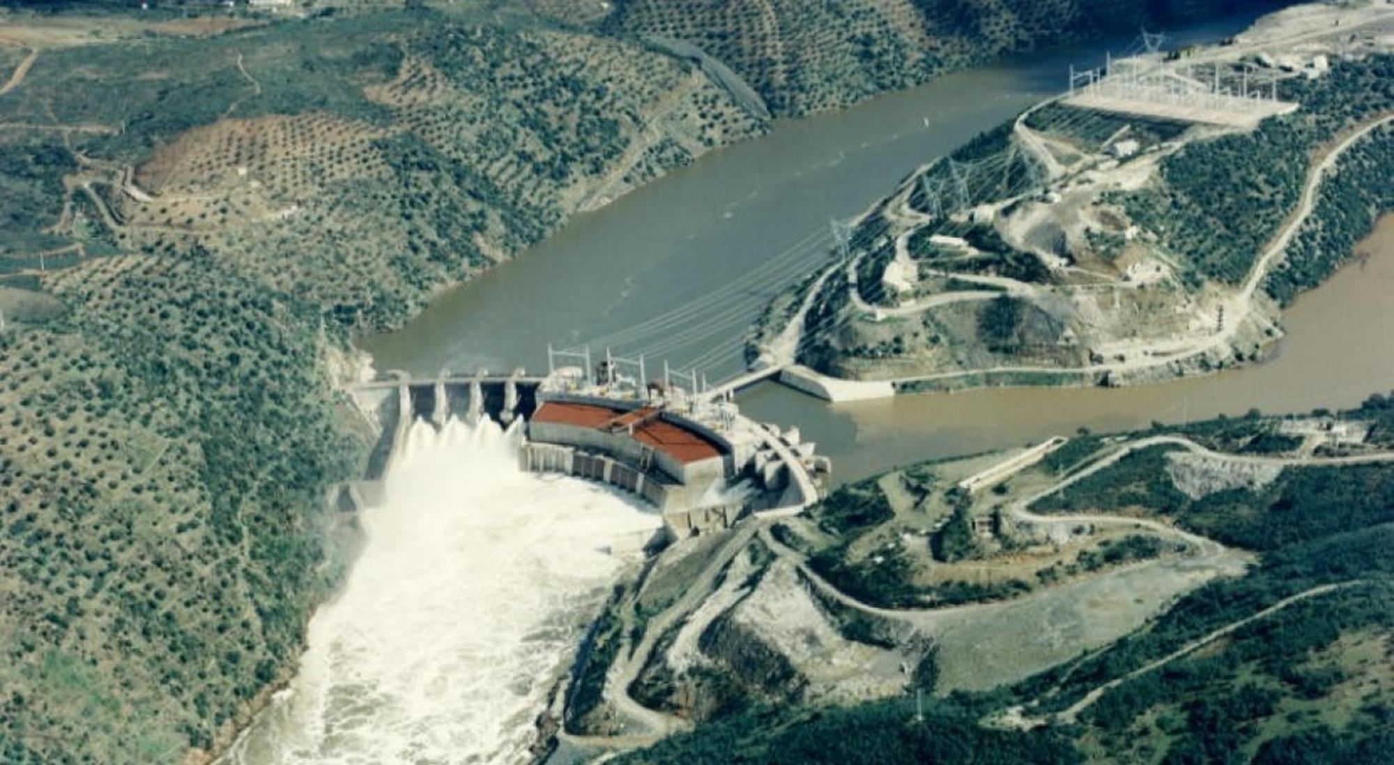 Presa de Cedillo