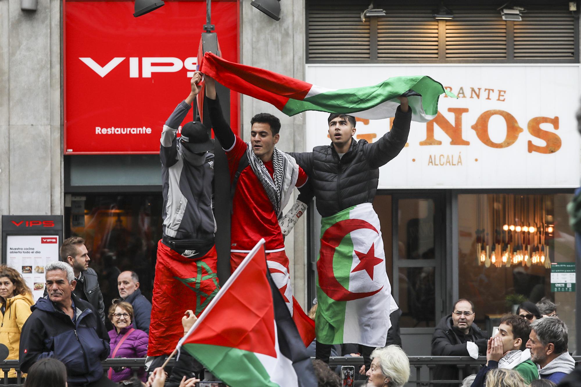 Manifestación Palestina Madrid - 2