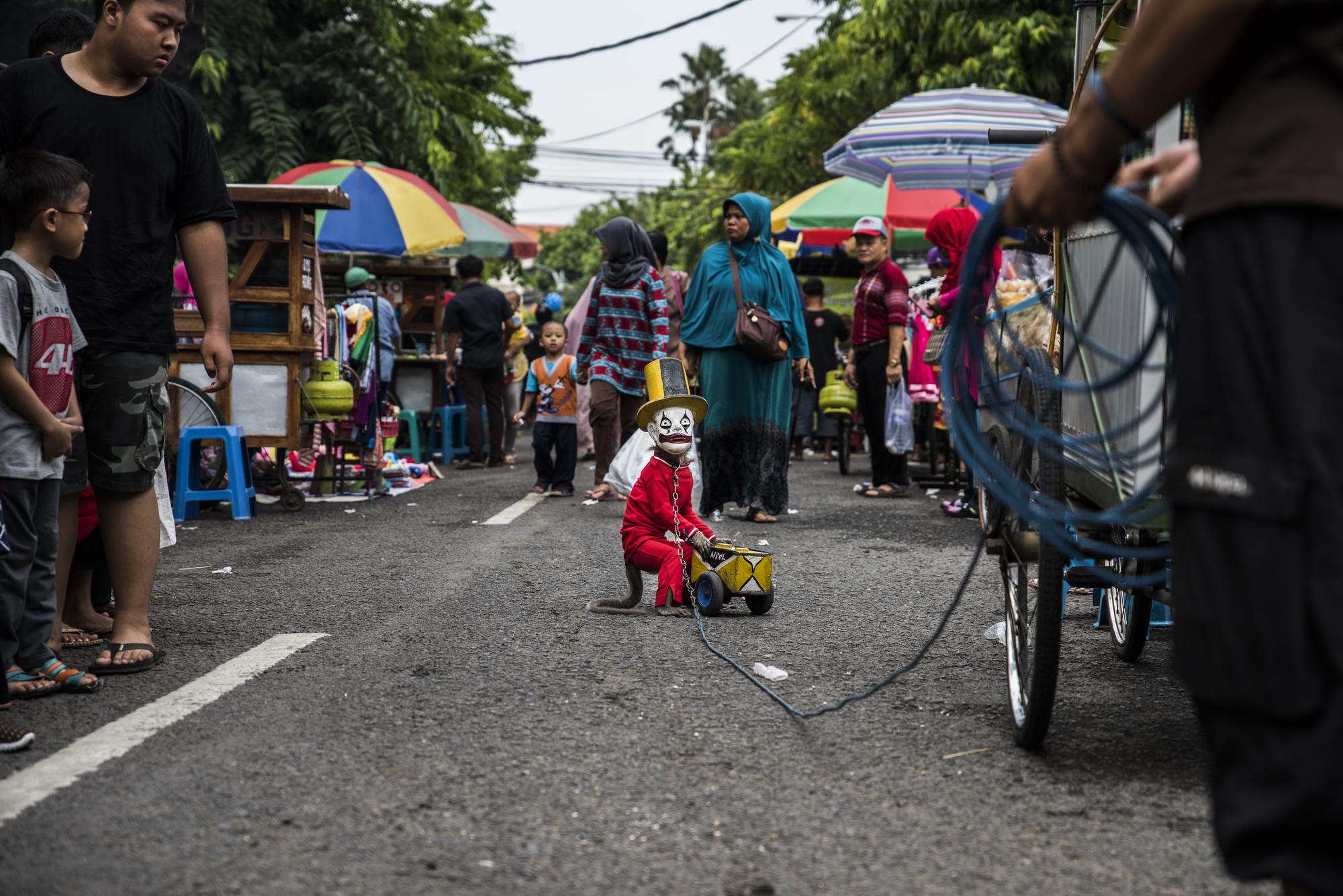 "Mono de feria"