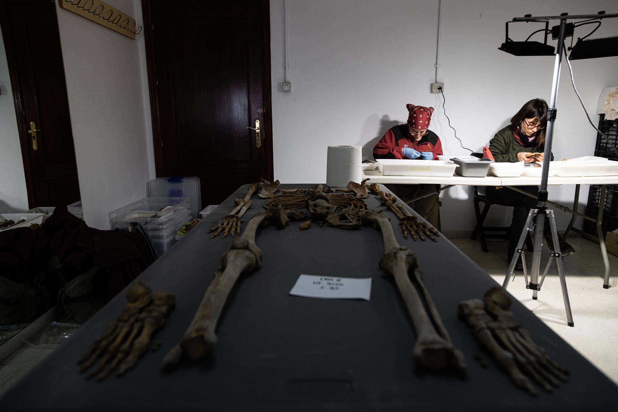 Exhumaciones represión franquista Padul - 1