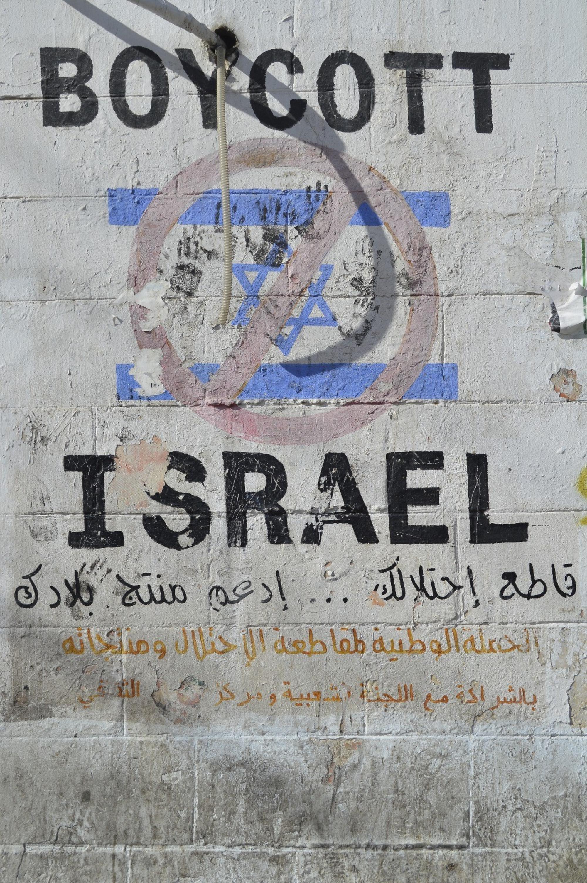 pintada bds palestina