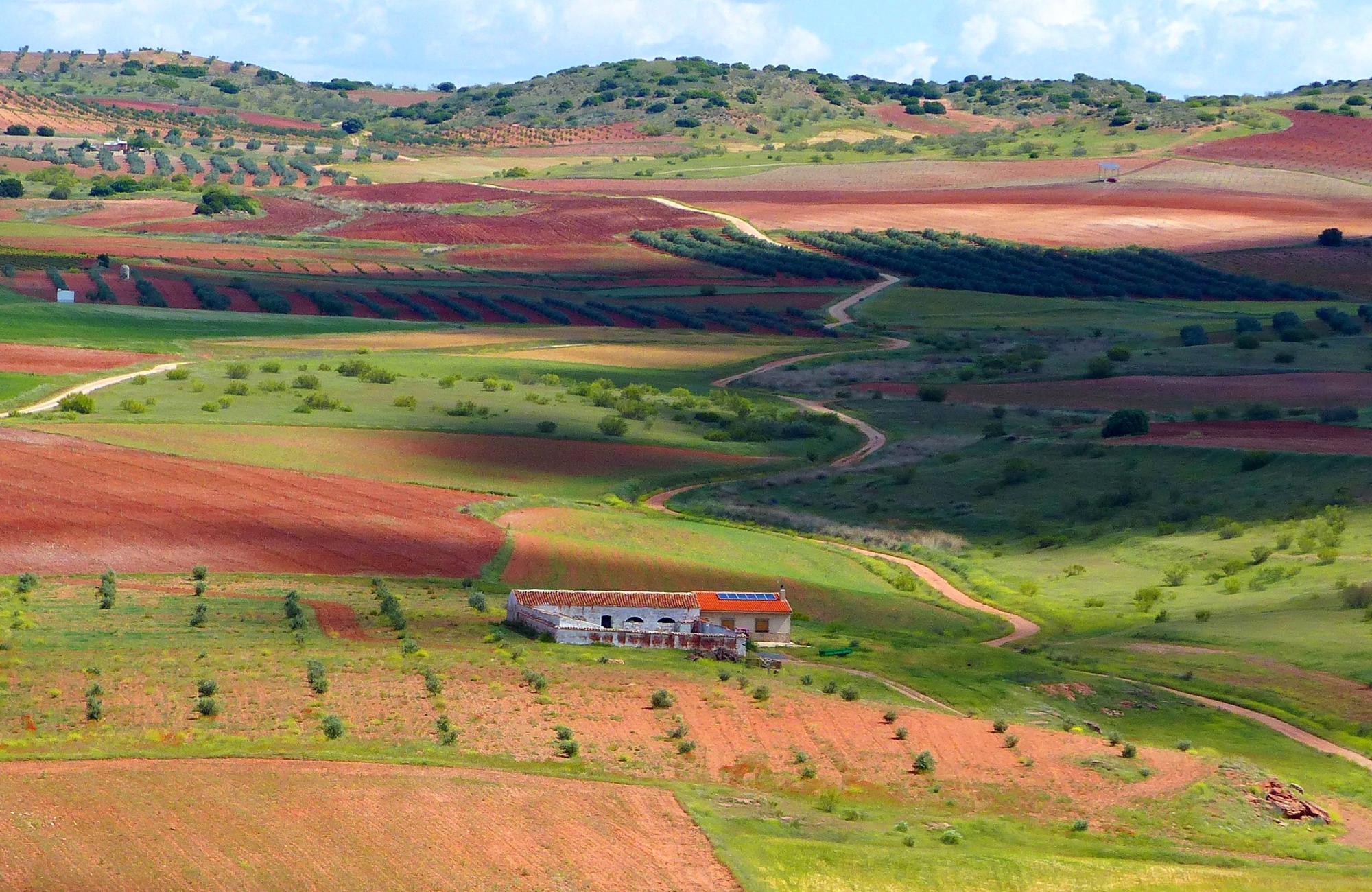 La Plataforma para una Transición Ecológica Justa pide la modificación del Pacto Verde Europeo