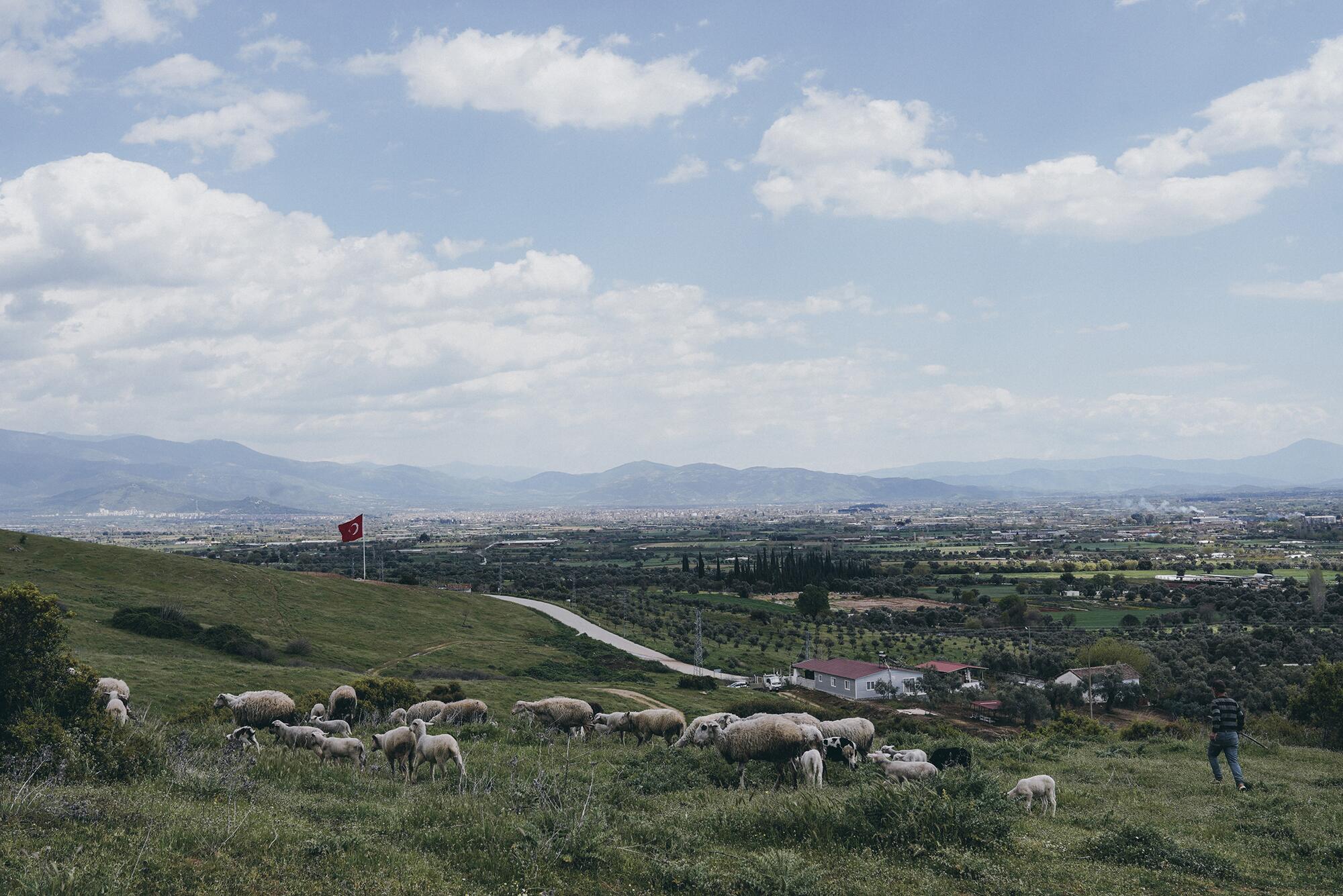 Esmirna/Galicia - 1