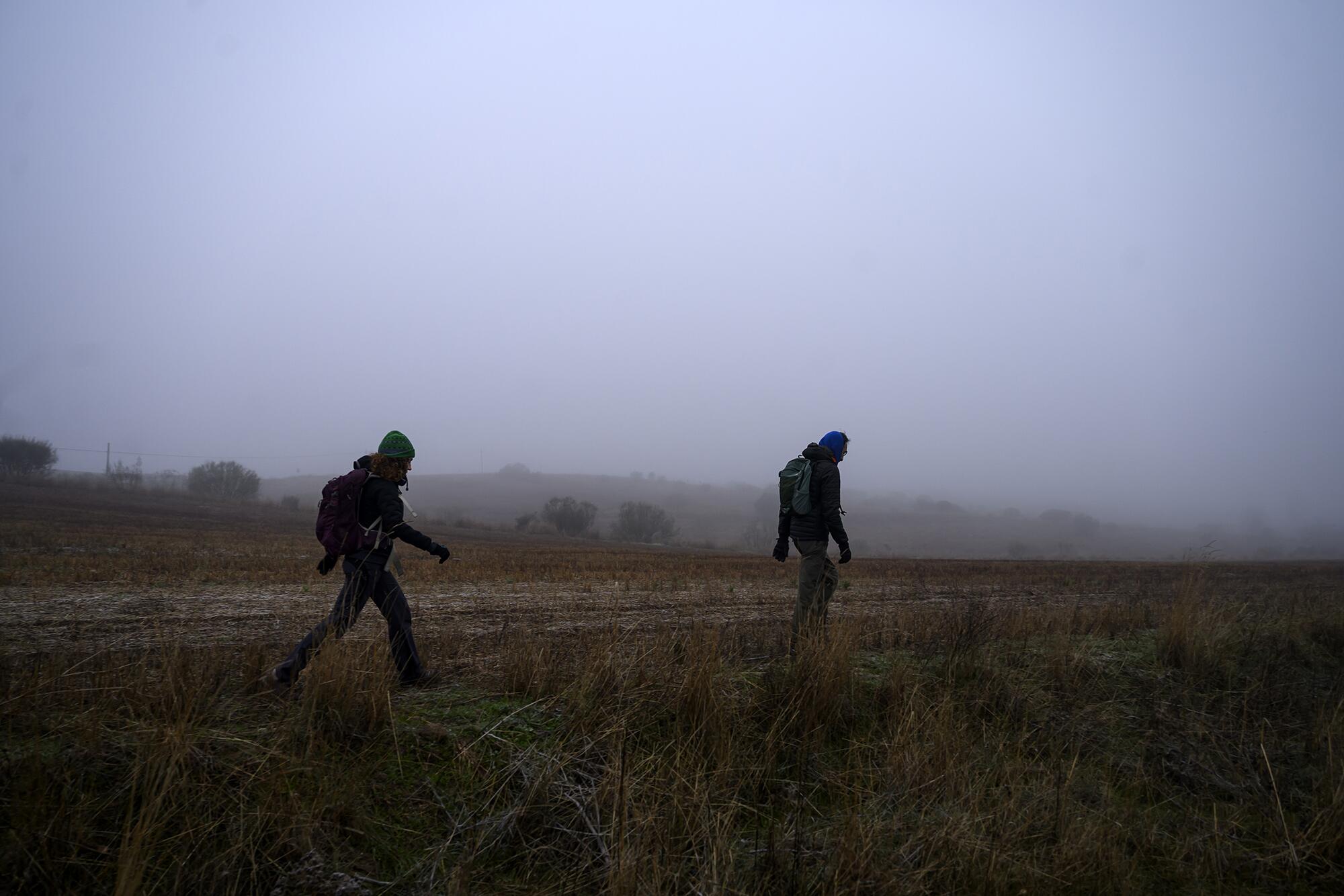 Brigadista Boadilla - 1