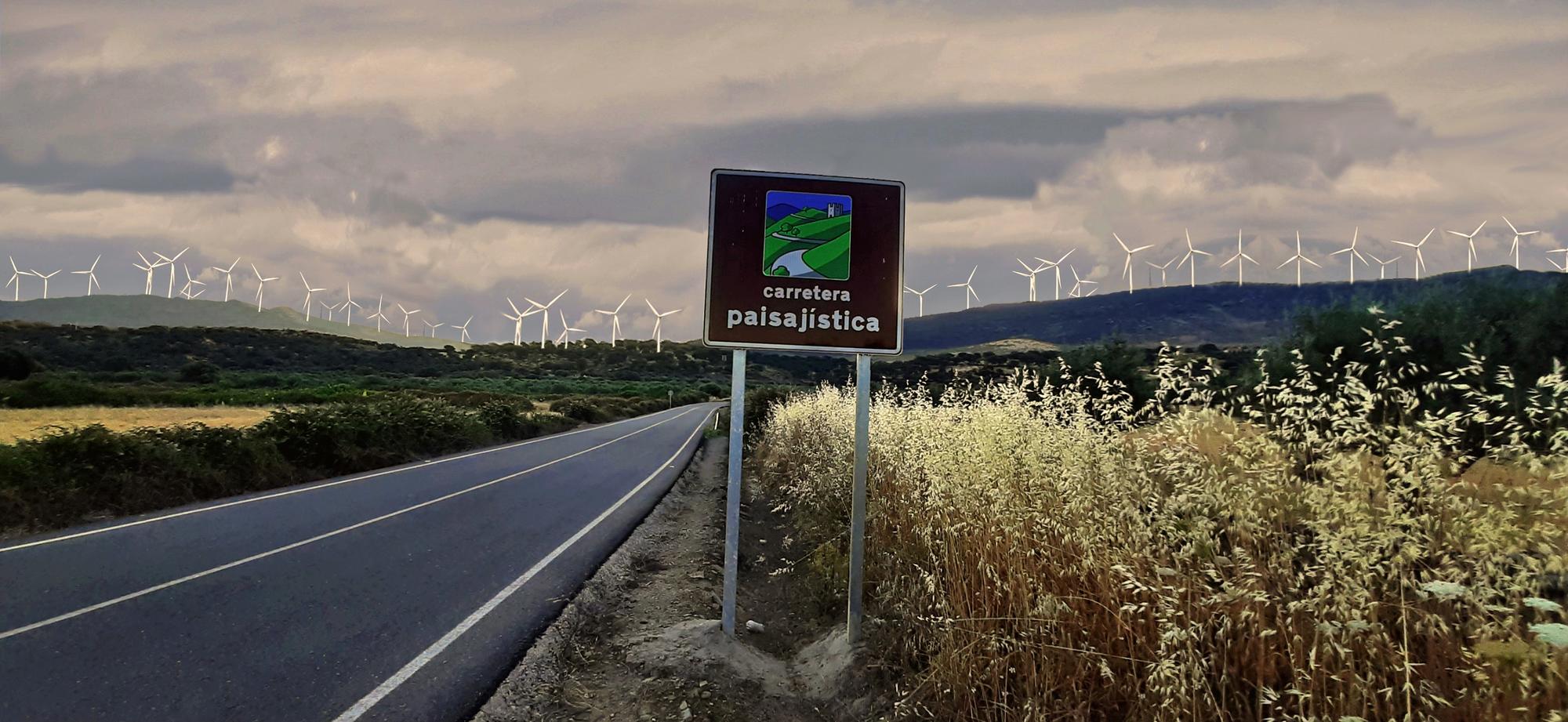 Simulación molinos