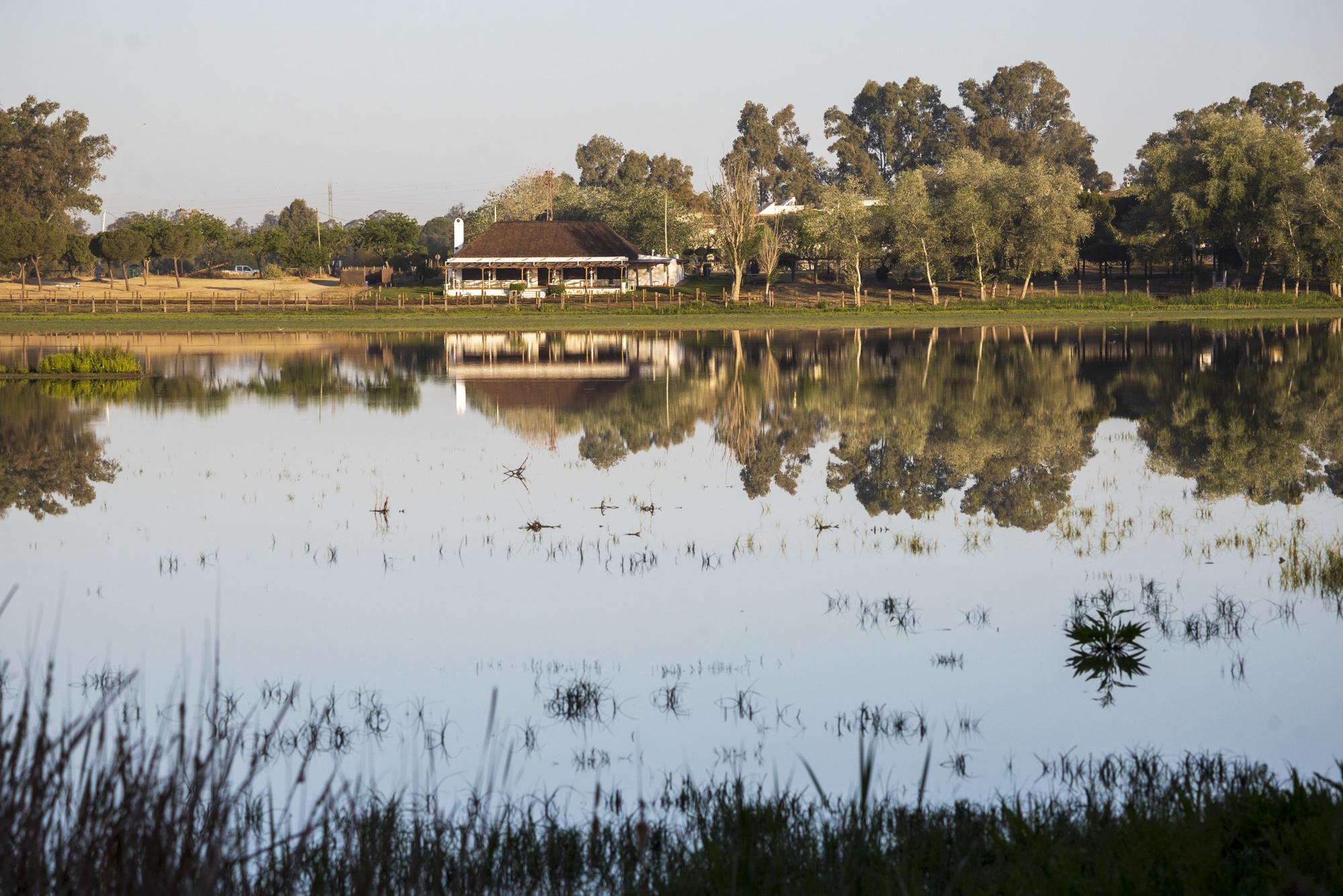 Doñana Abril 2023 - 6