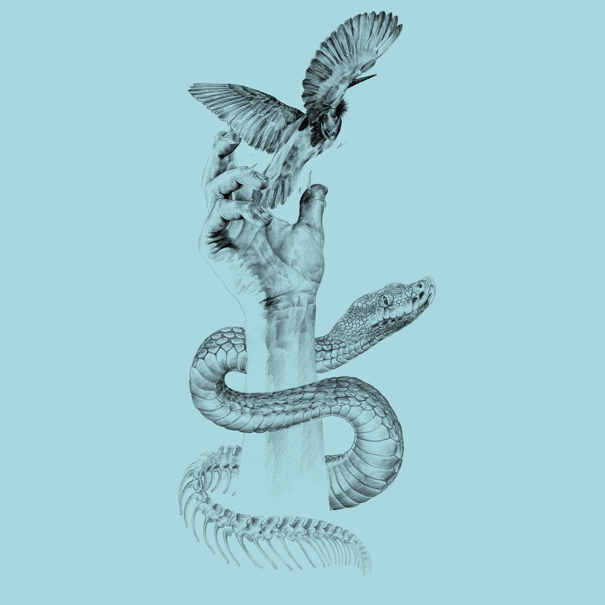 contigo empezo todo 49