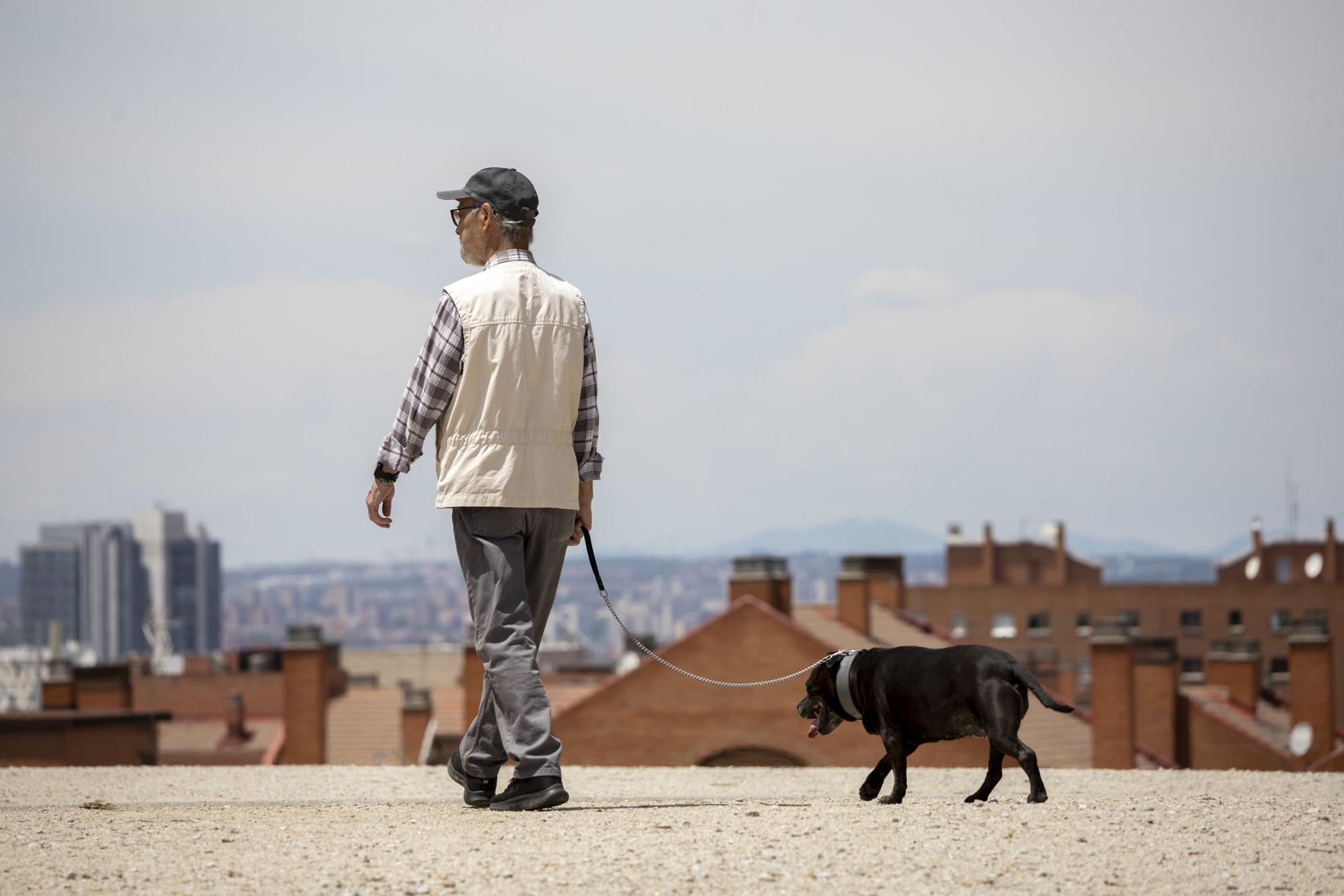 Galeria 23-06-06 - 1