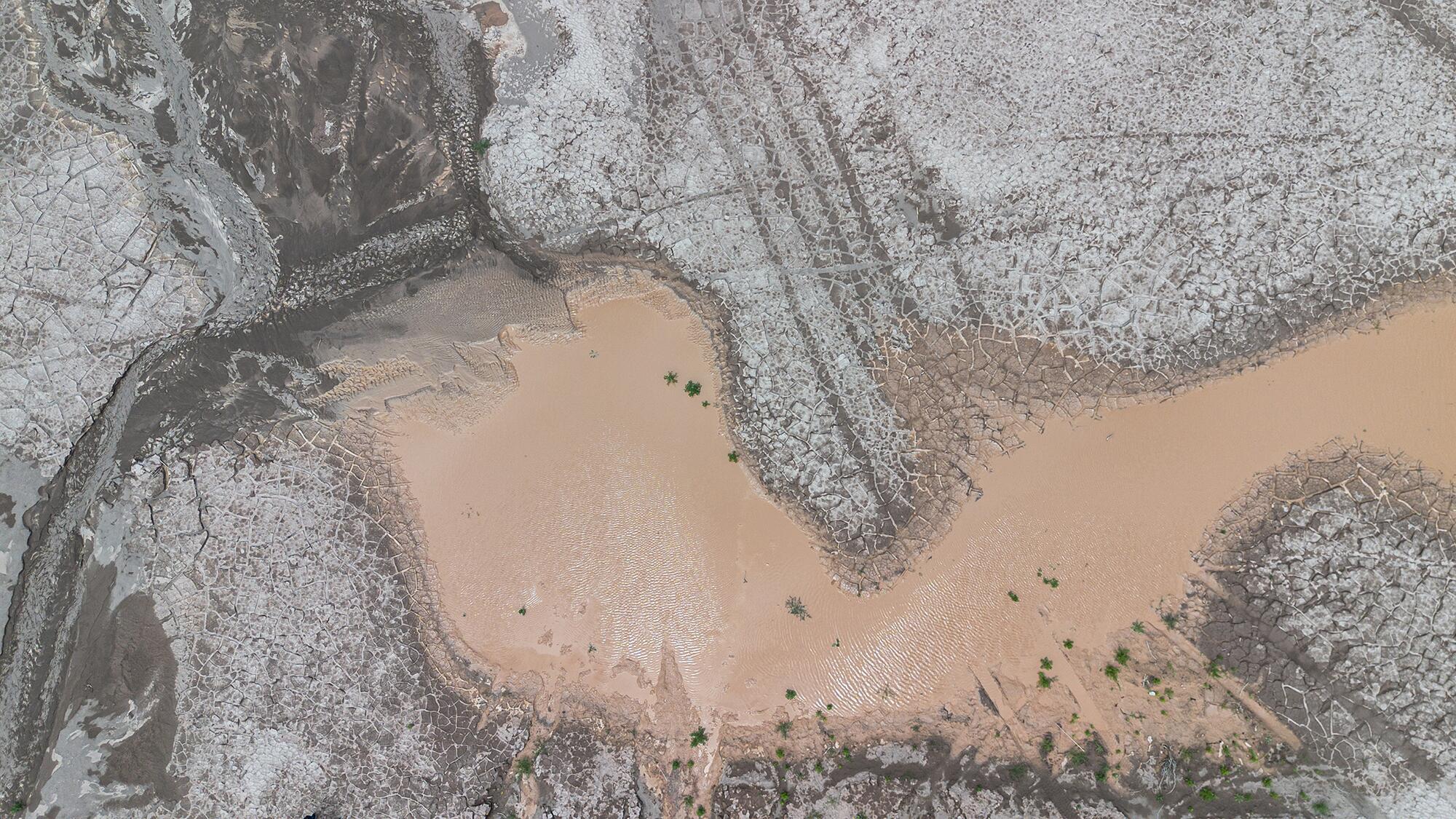 Mendoza se planta - 4