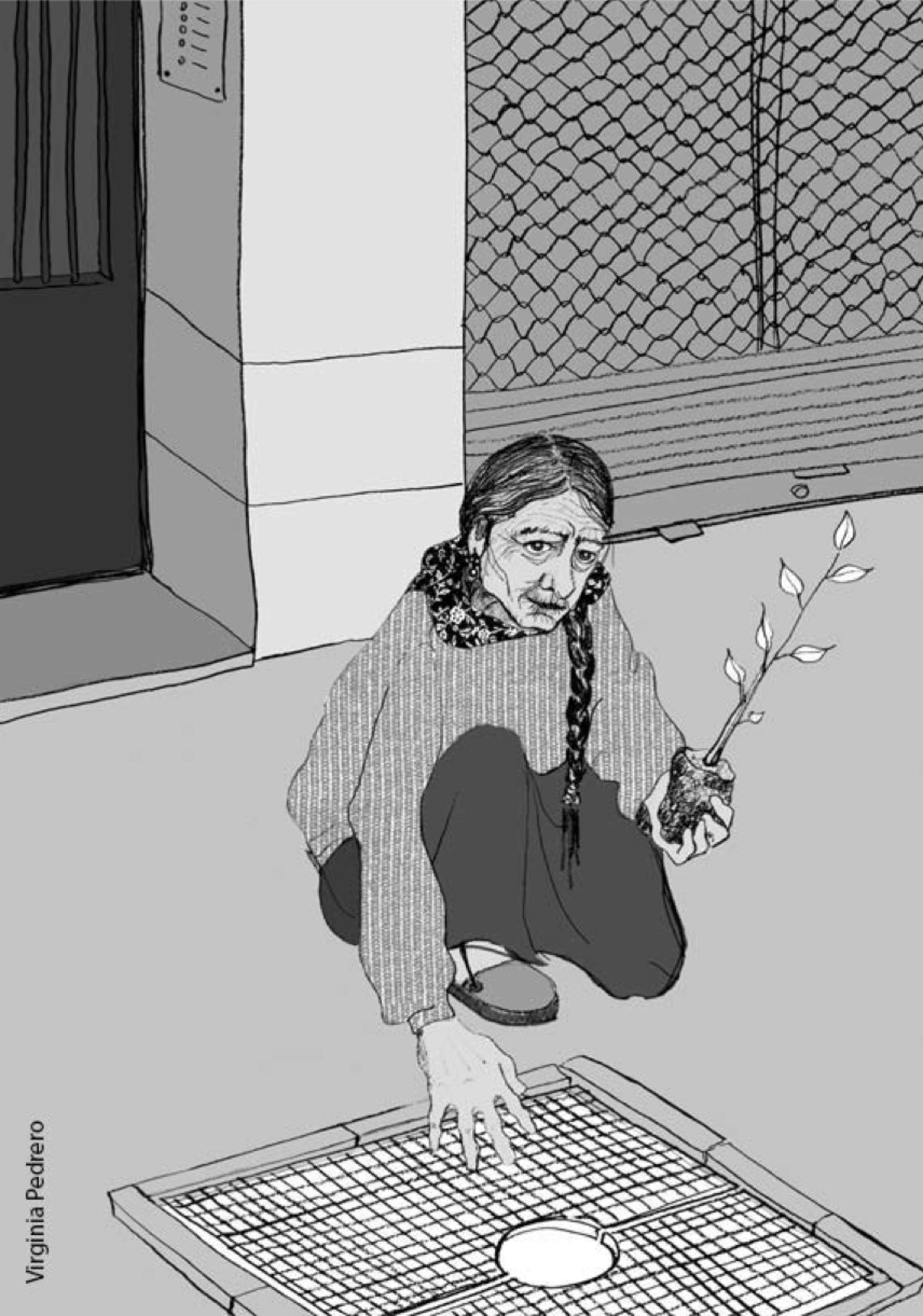 Campesina