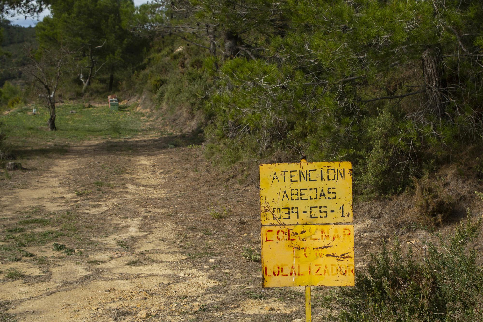 Apicultura Sierra de Espadan - 1