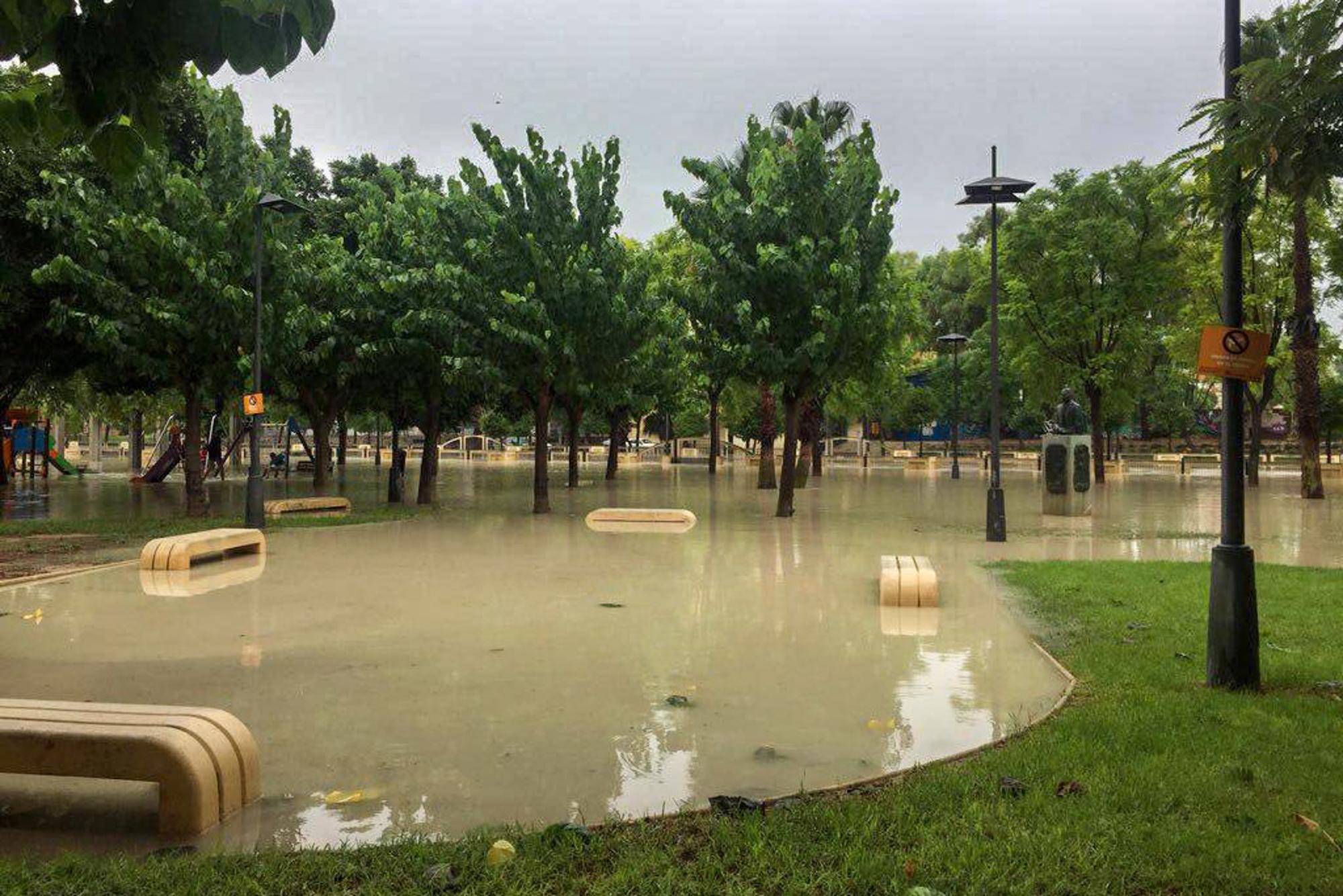 Río Segura desbordado desde el Puente del Rey 2