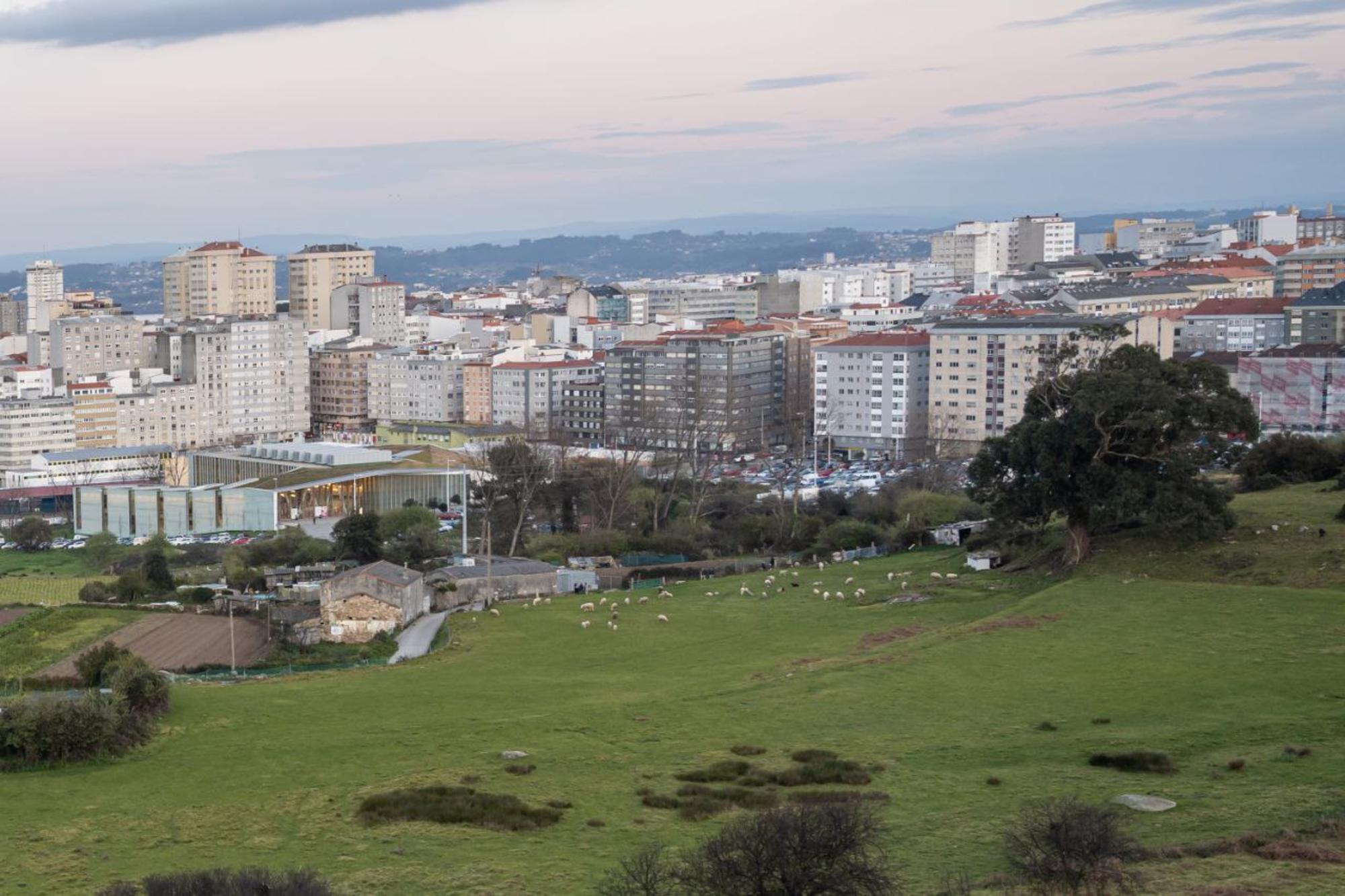 Coruña Vivenda