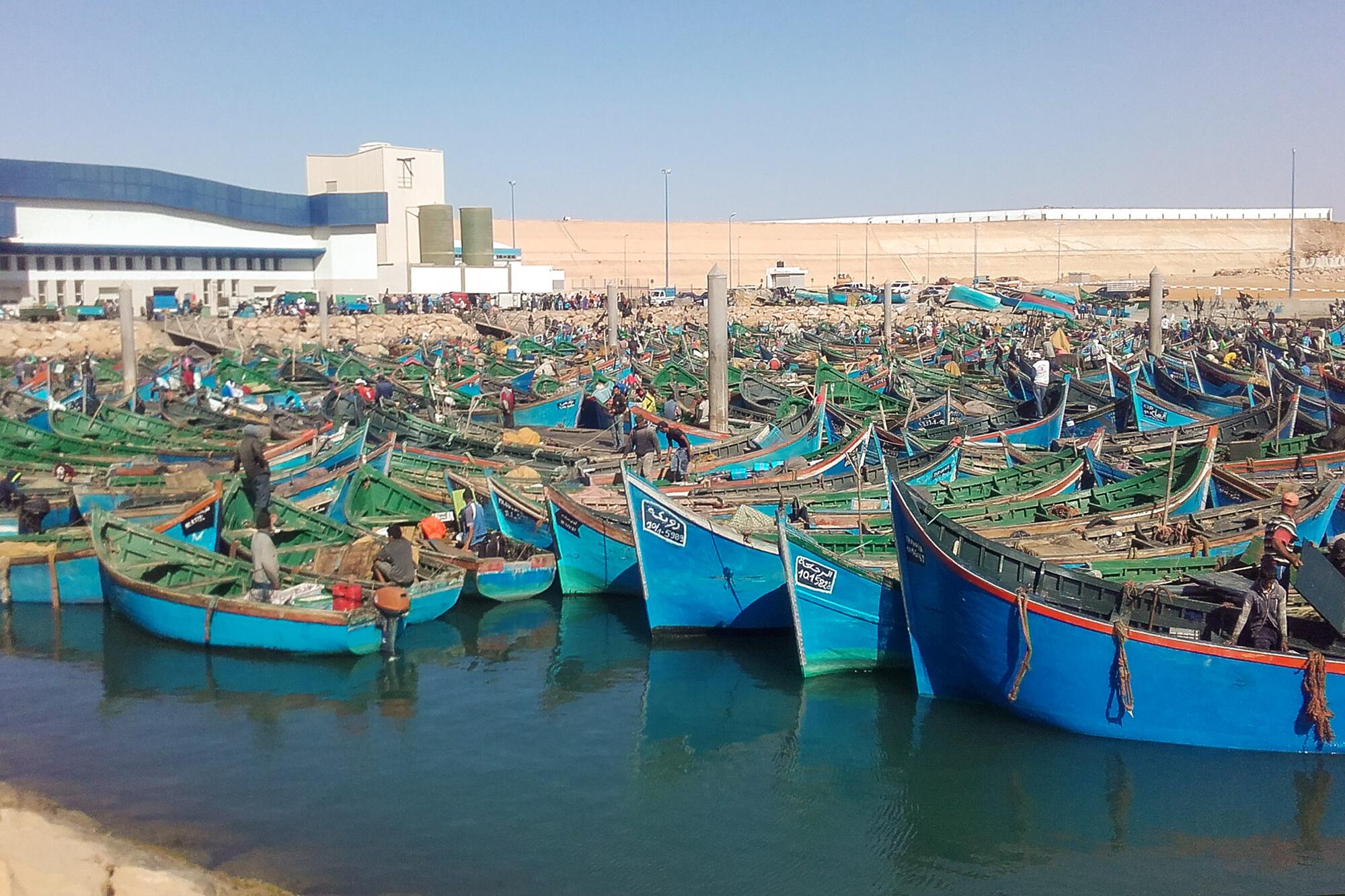 Pesca Sahara - 3