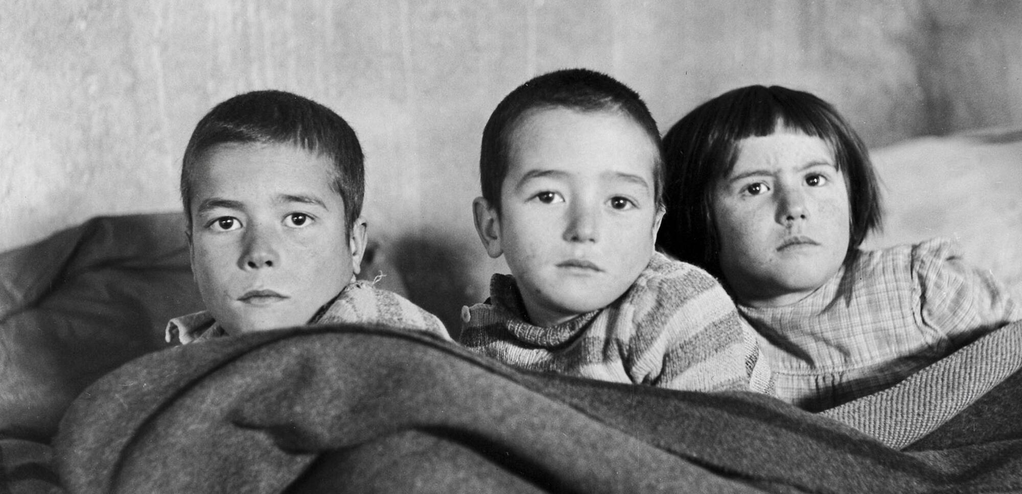 Fotografía de Paul Senn