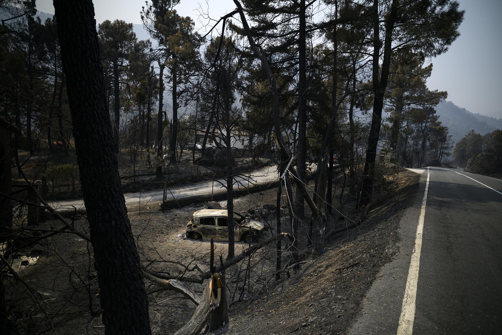 Incendio Navaluenga - 20