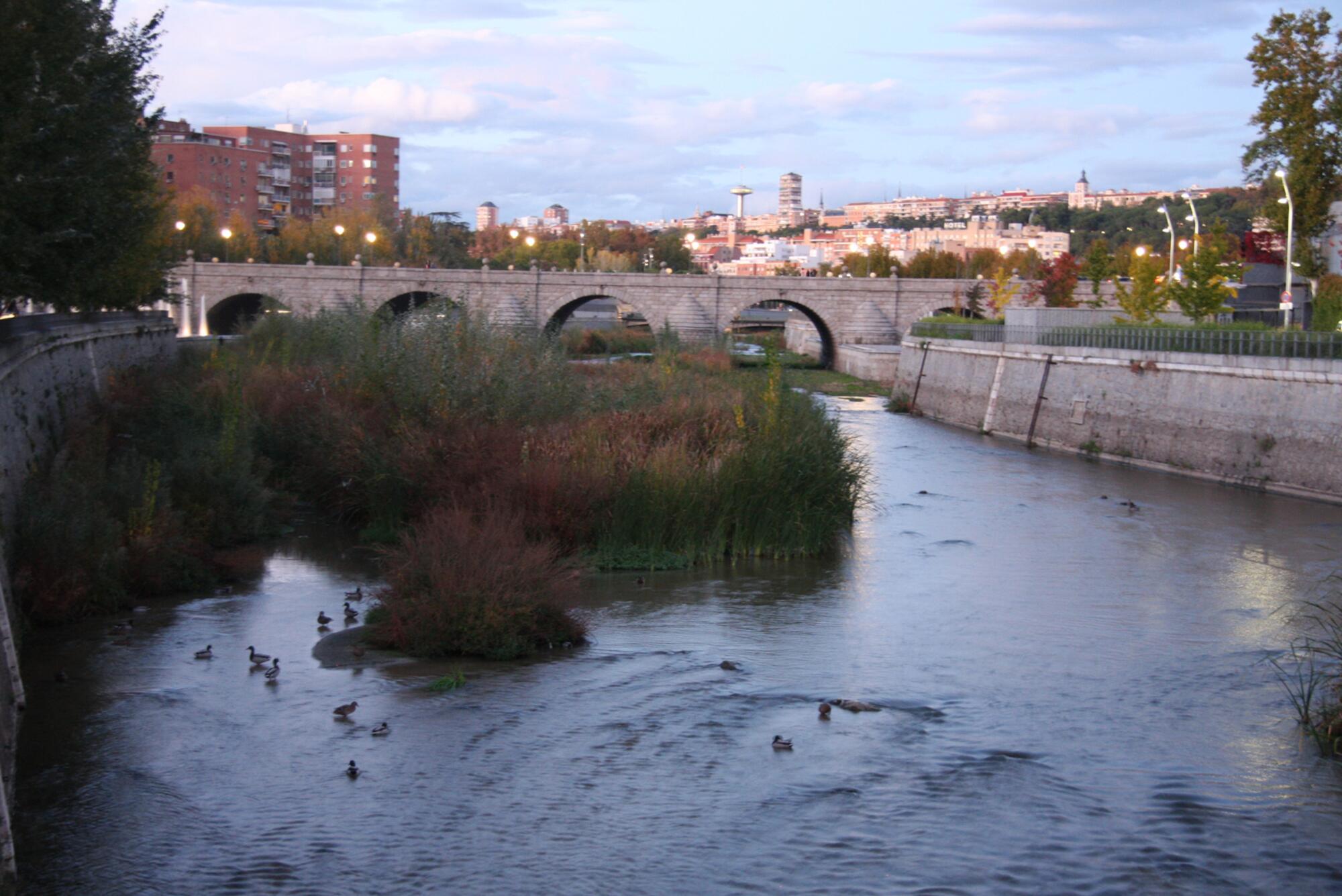 Manzanares