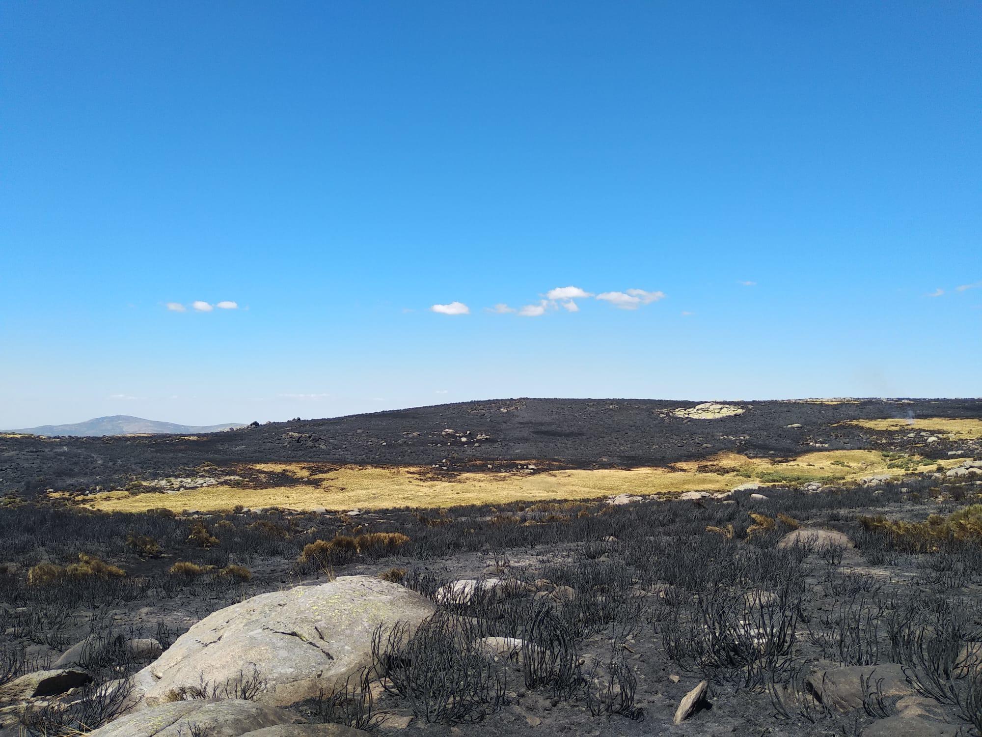 Incendio de la Vera 4