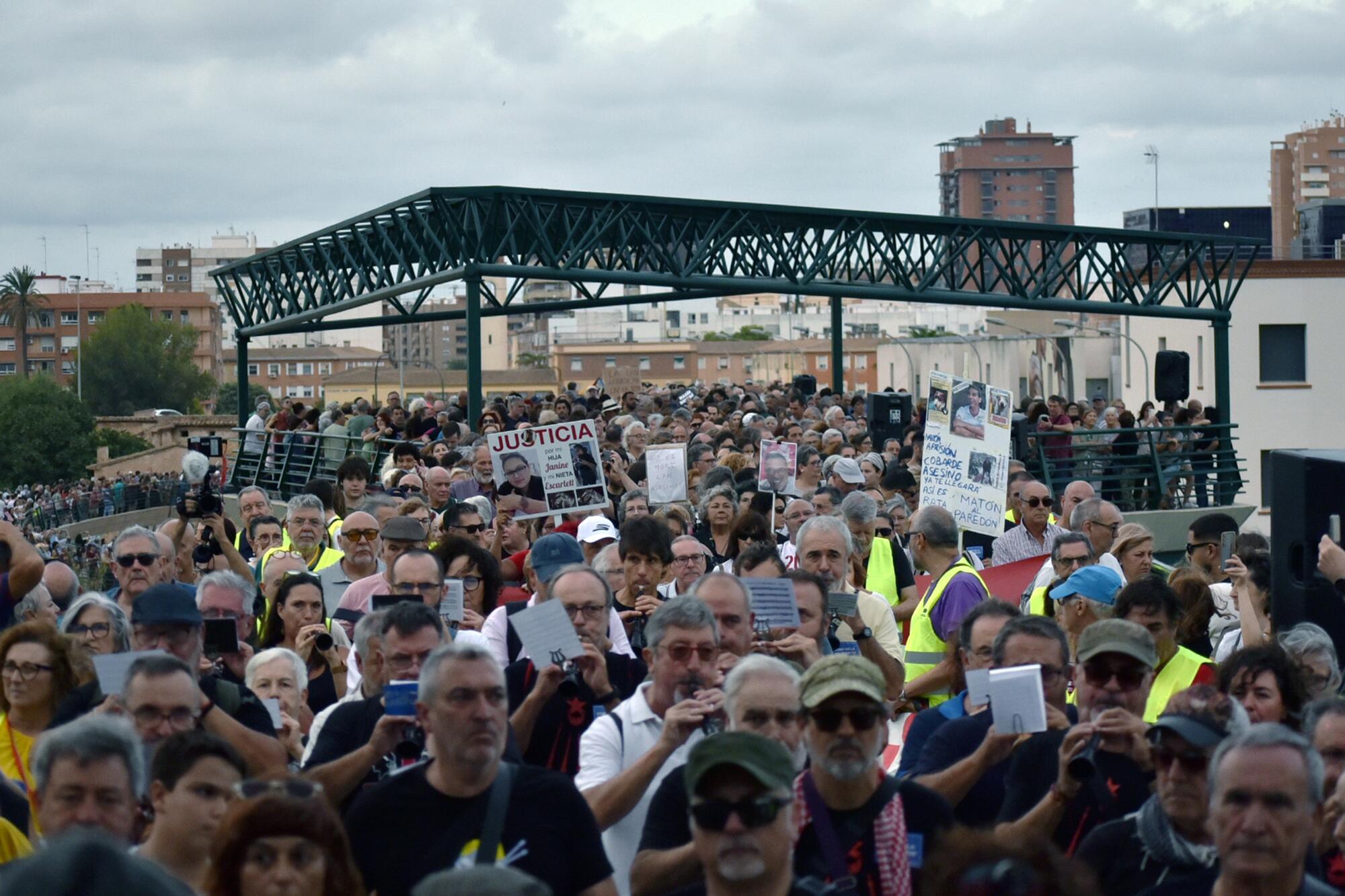 Undécima manifestación para exigir la dimisión de Carlos Mazón - 12