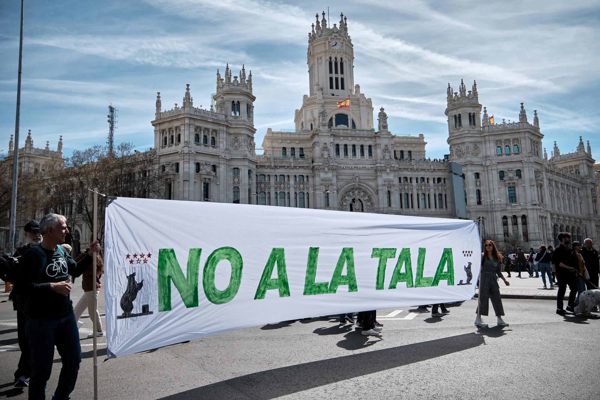 Manifestación Madrid habitable - 4