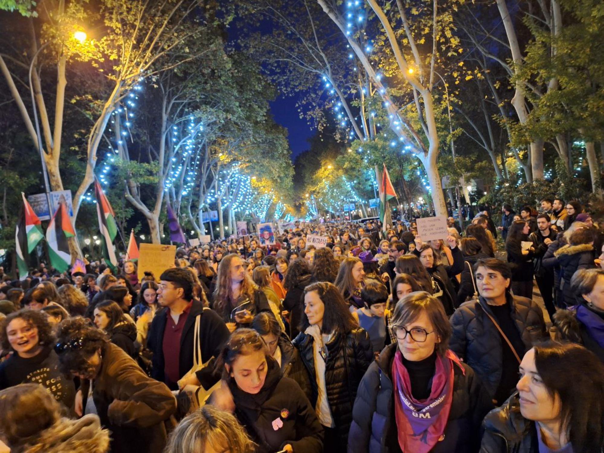 En la manifestación de la Comisión 8M, se distingue una amplia presencia de banderas palestinas en una convocatoria que pide el fin de todas las violencias contra las mujeres.