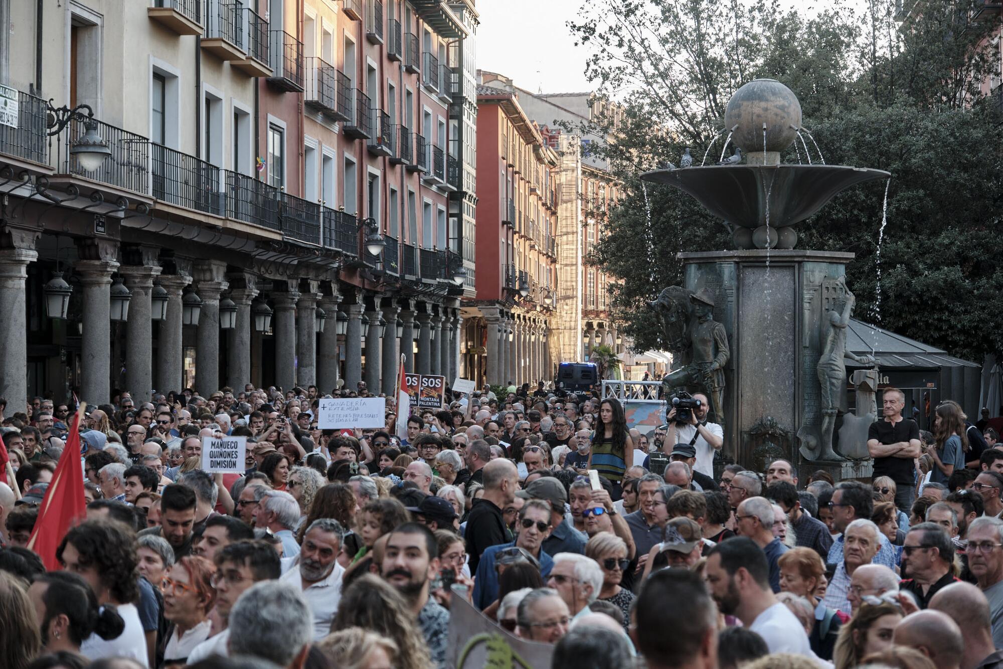 Manifestación Valladolid 20 de agosto Incendios Galeria - 6