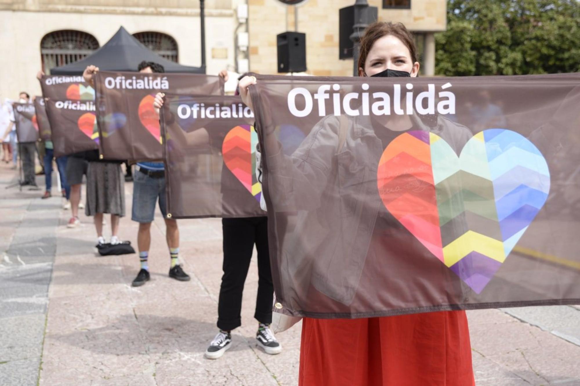 mosaico oficialidad asturianu