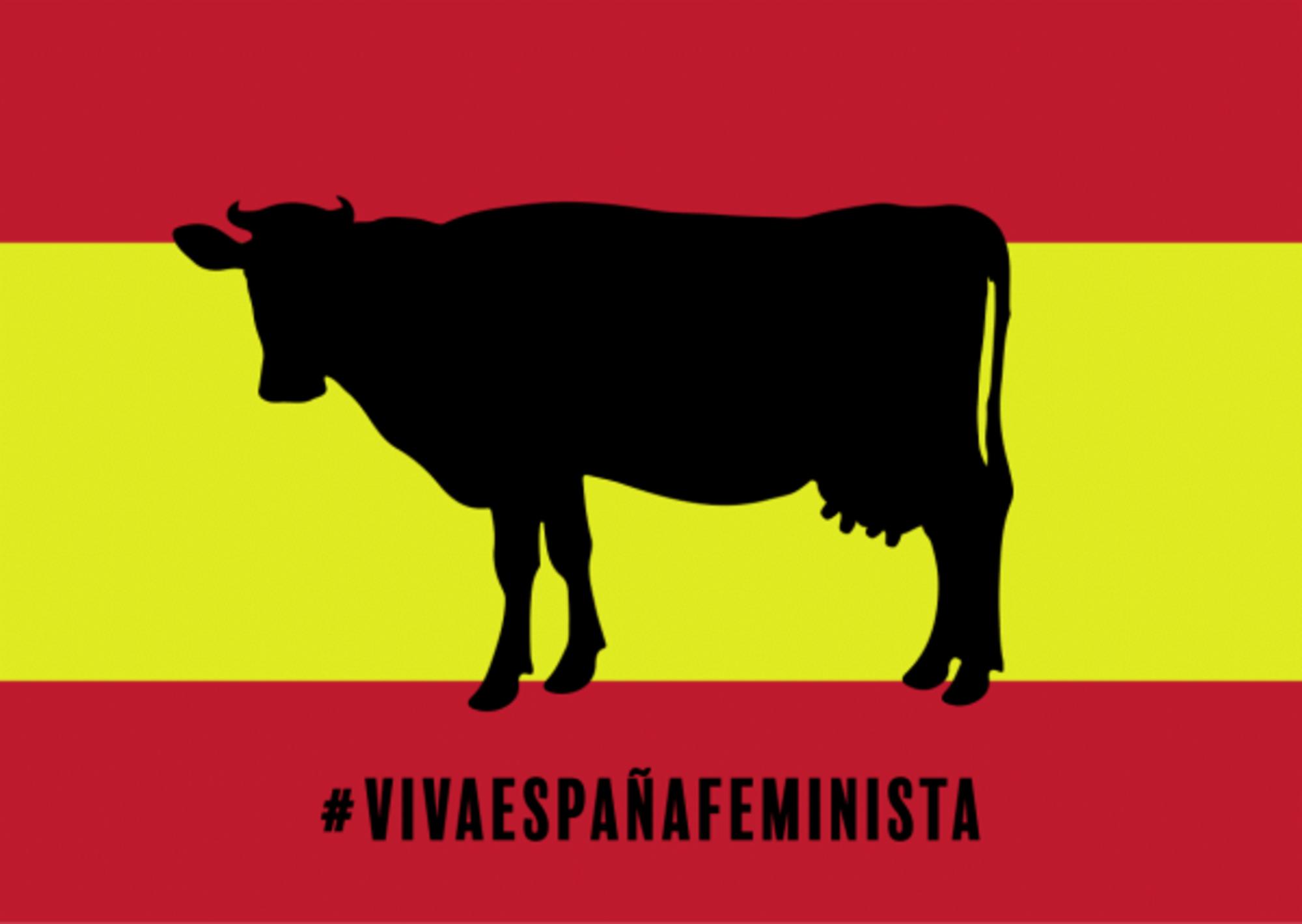 Homo Velamine Viva España Feminista