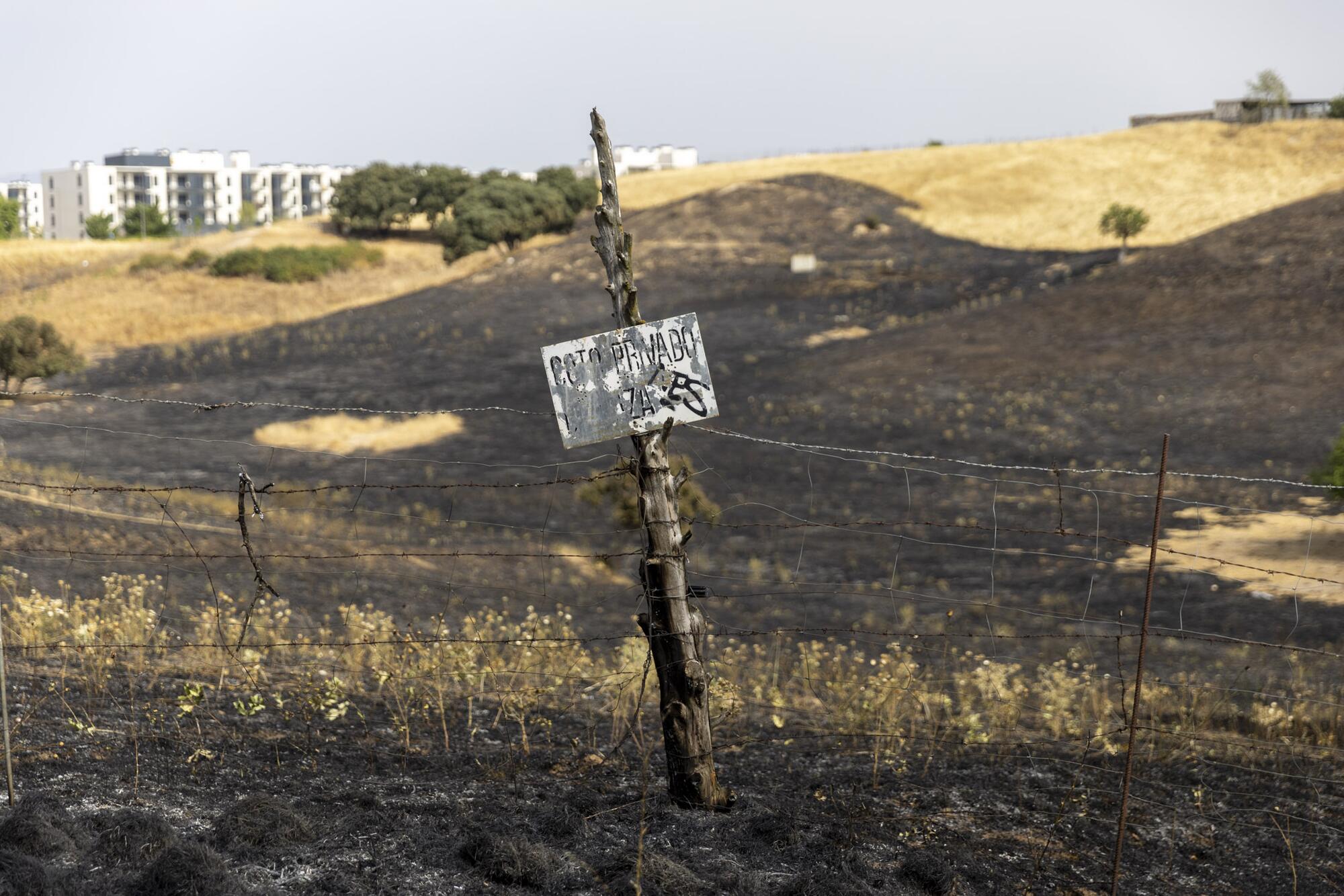 Incendio Tres Cantos  - 4