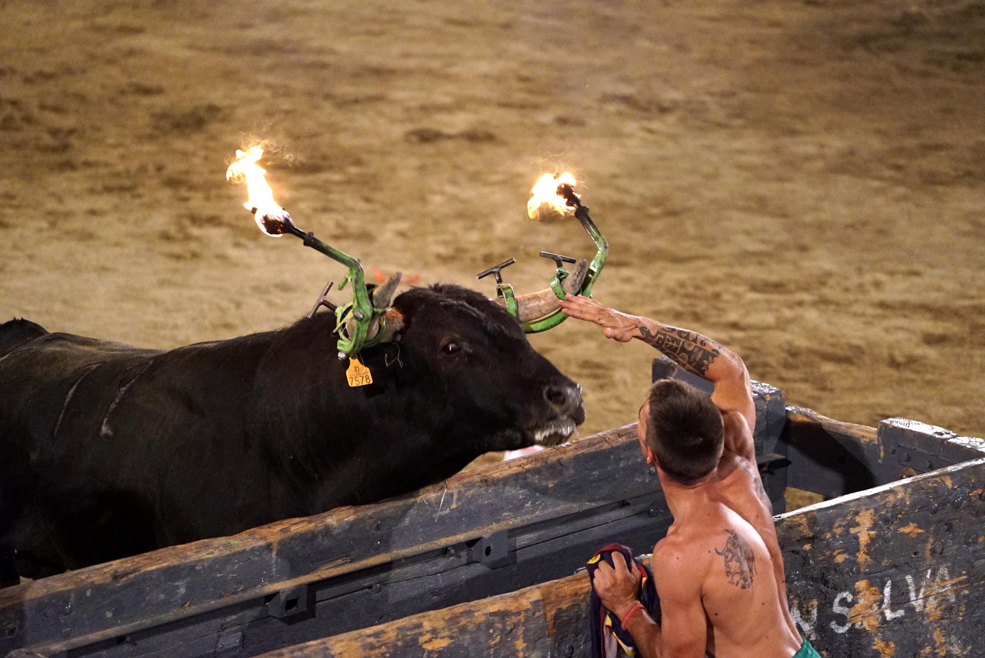 Toro embolado