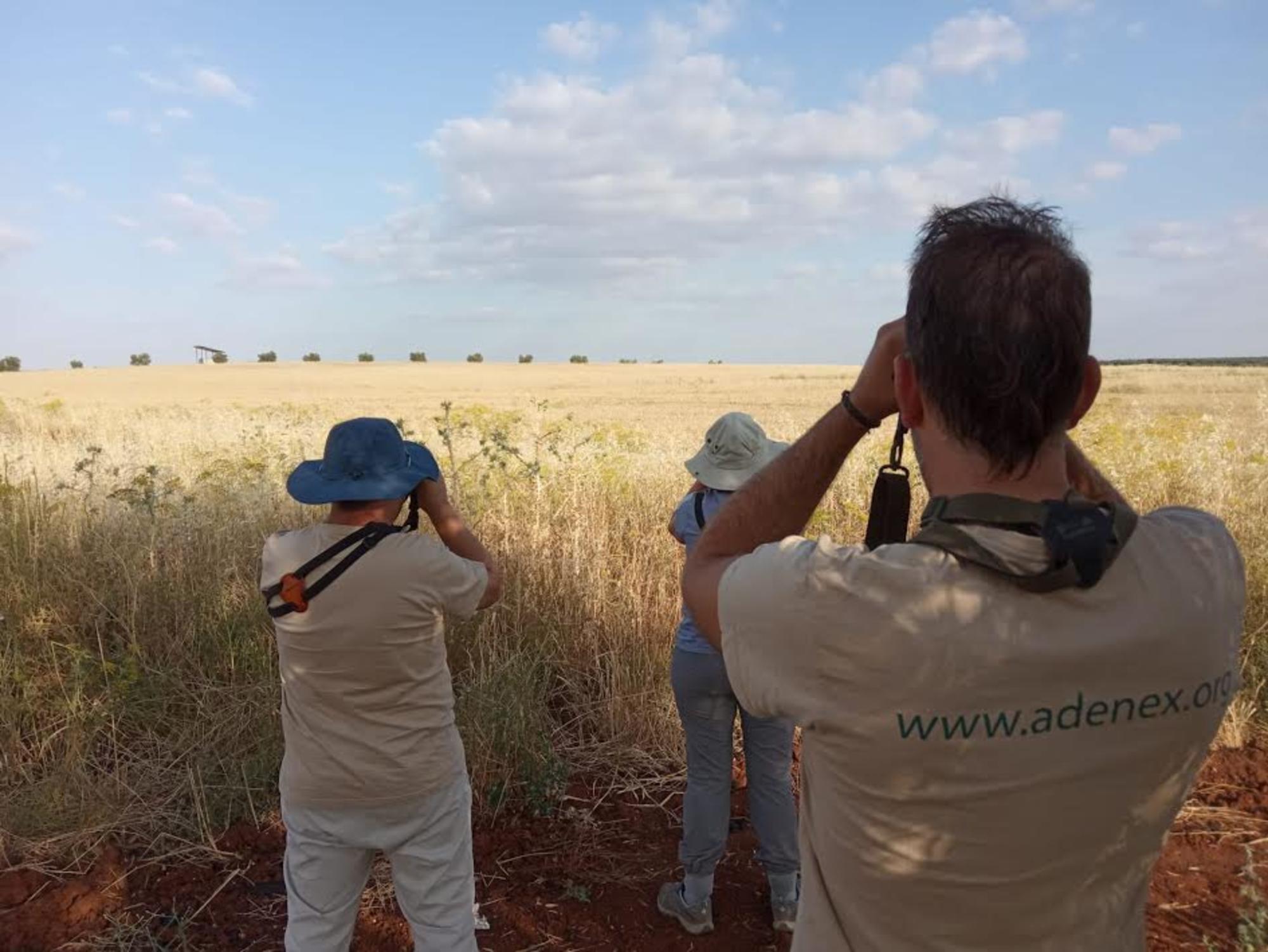 Voluntarios ADENEX