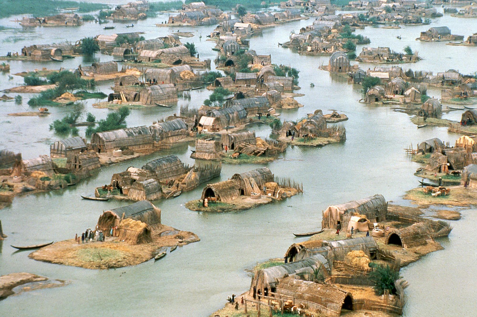 Marshlands iraquís