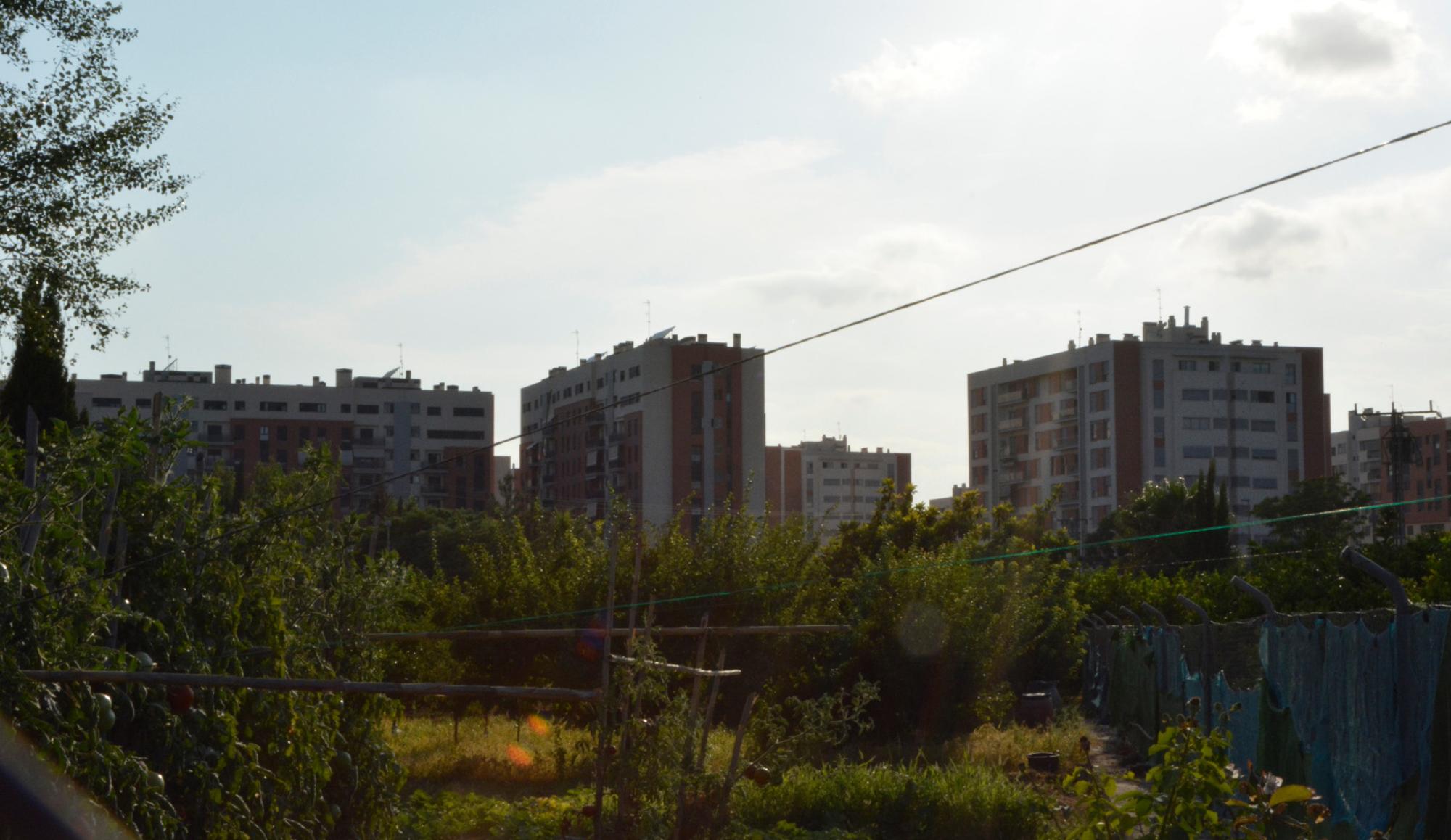 La urbanización Joven Futura se comió buena parte de la huerta