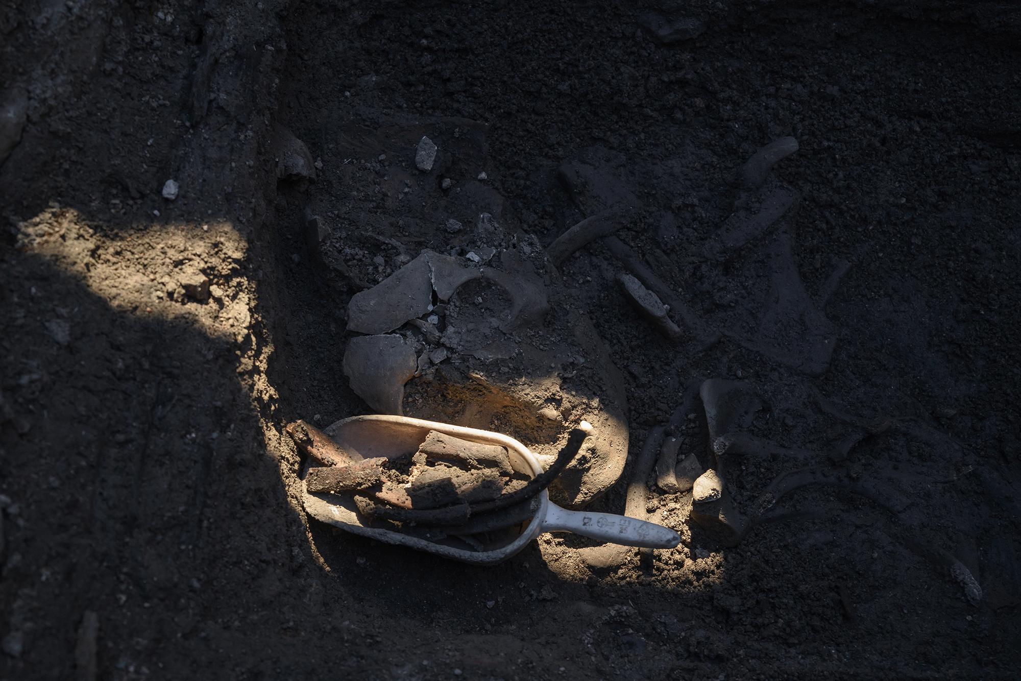 Exhumación fosa Colmenar - 23