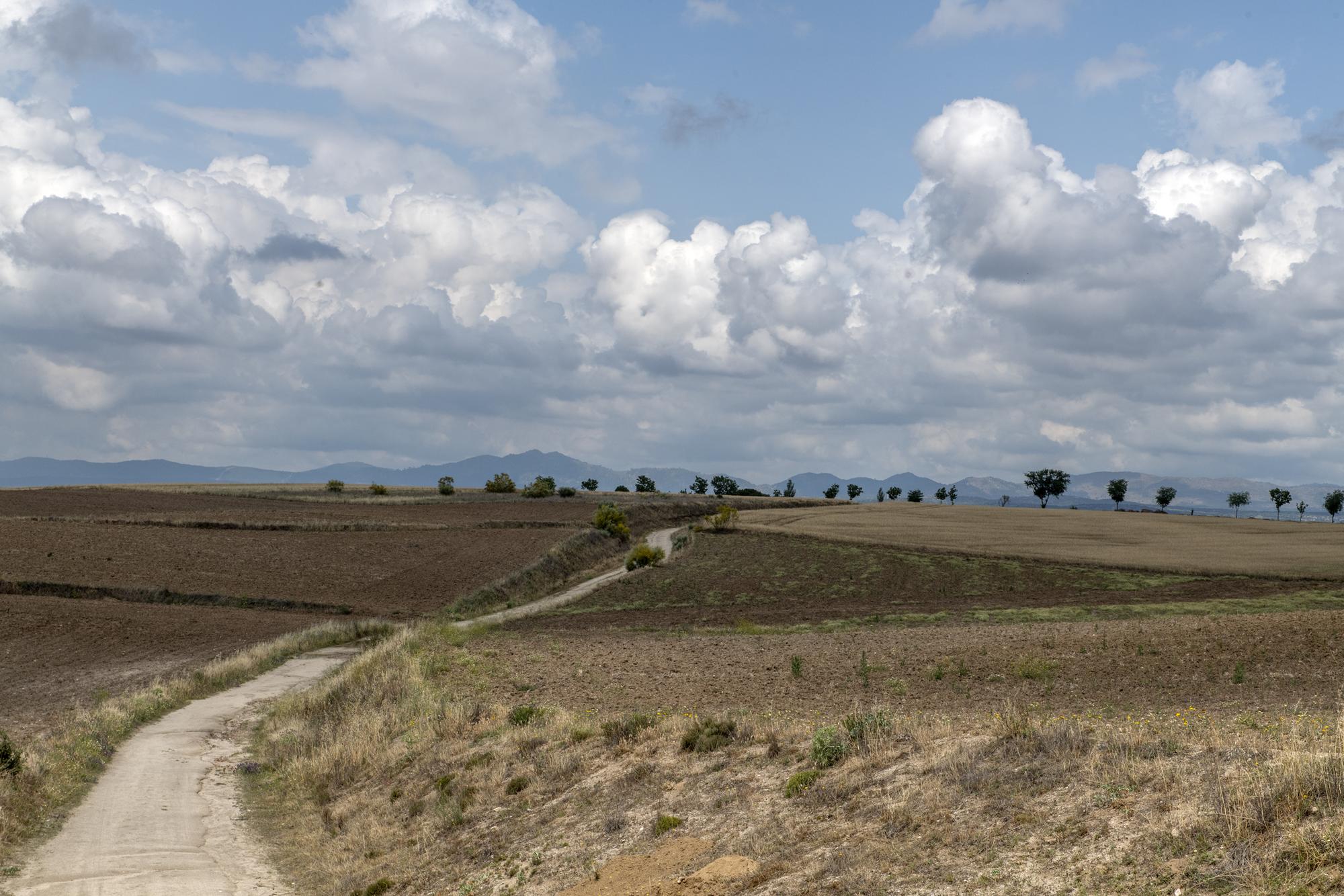 Galeria excavacion Brunete - 17