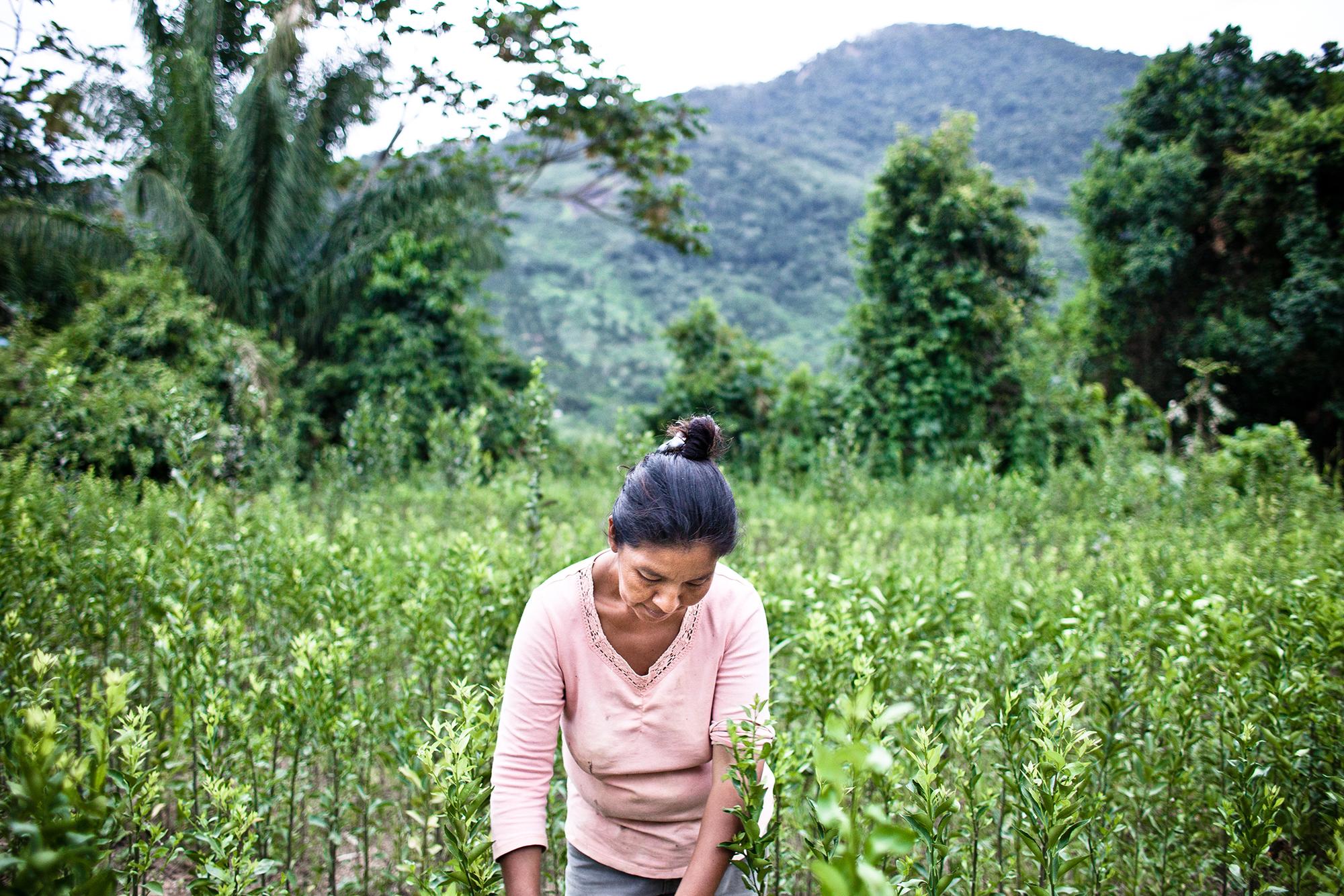 Filomena Monterilla, cultivando la tierra.