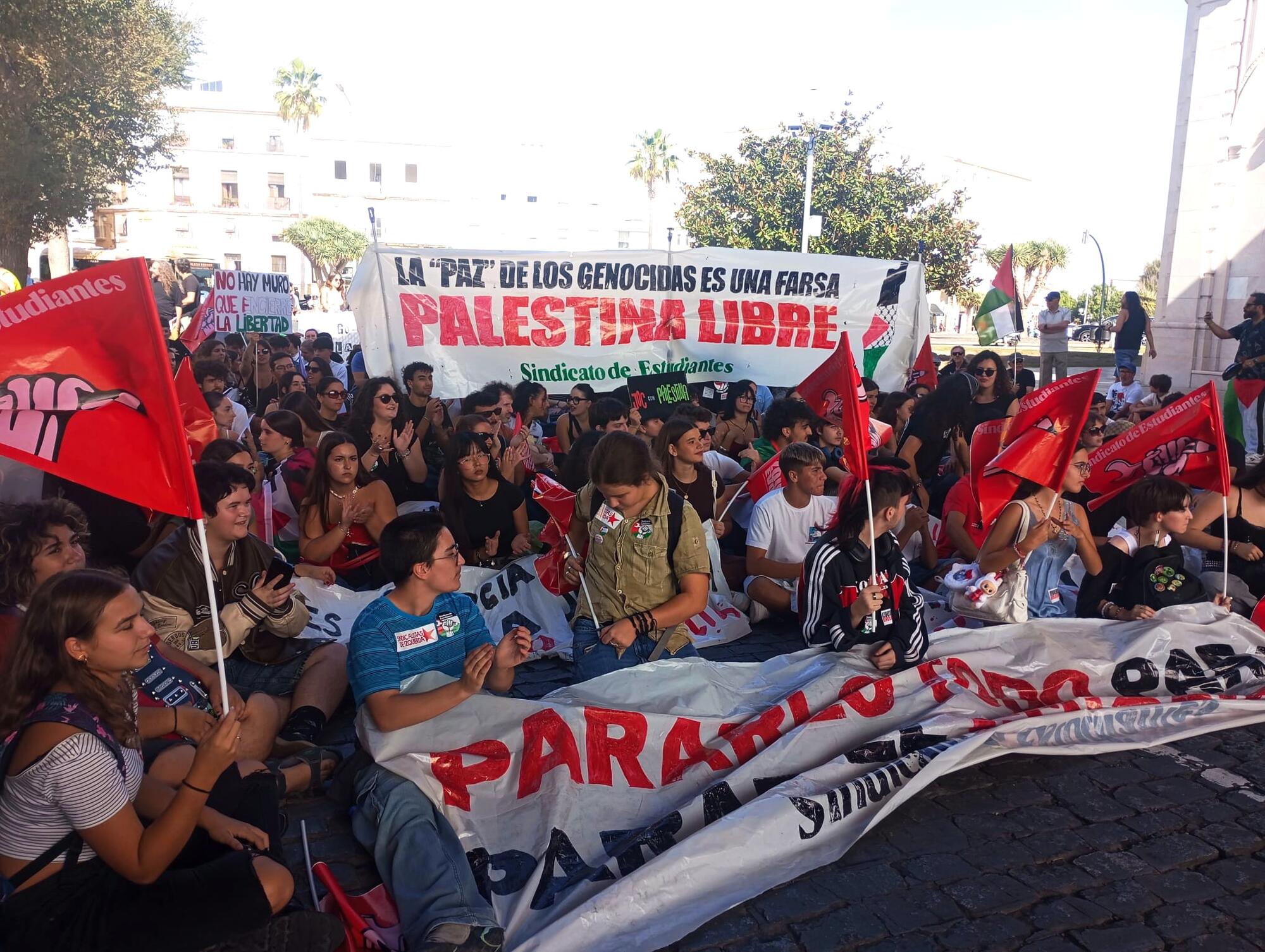 Así fue la huelga general por Palestina en Andalucía - 1
