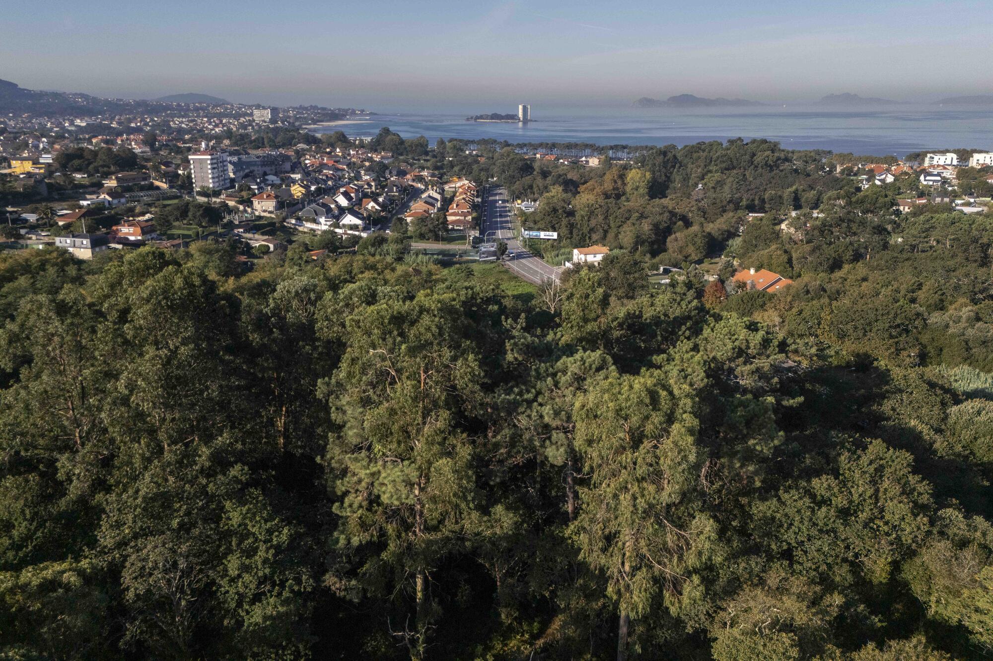 Carballeira da barroca - 4