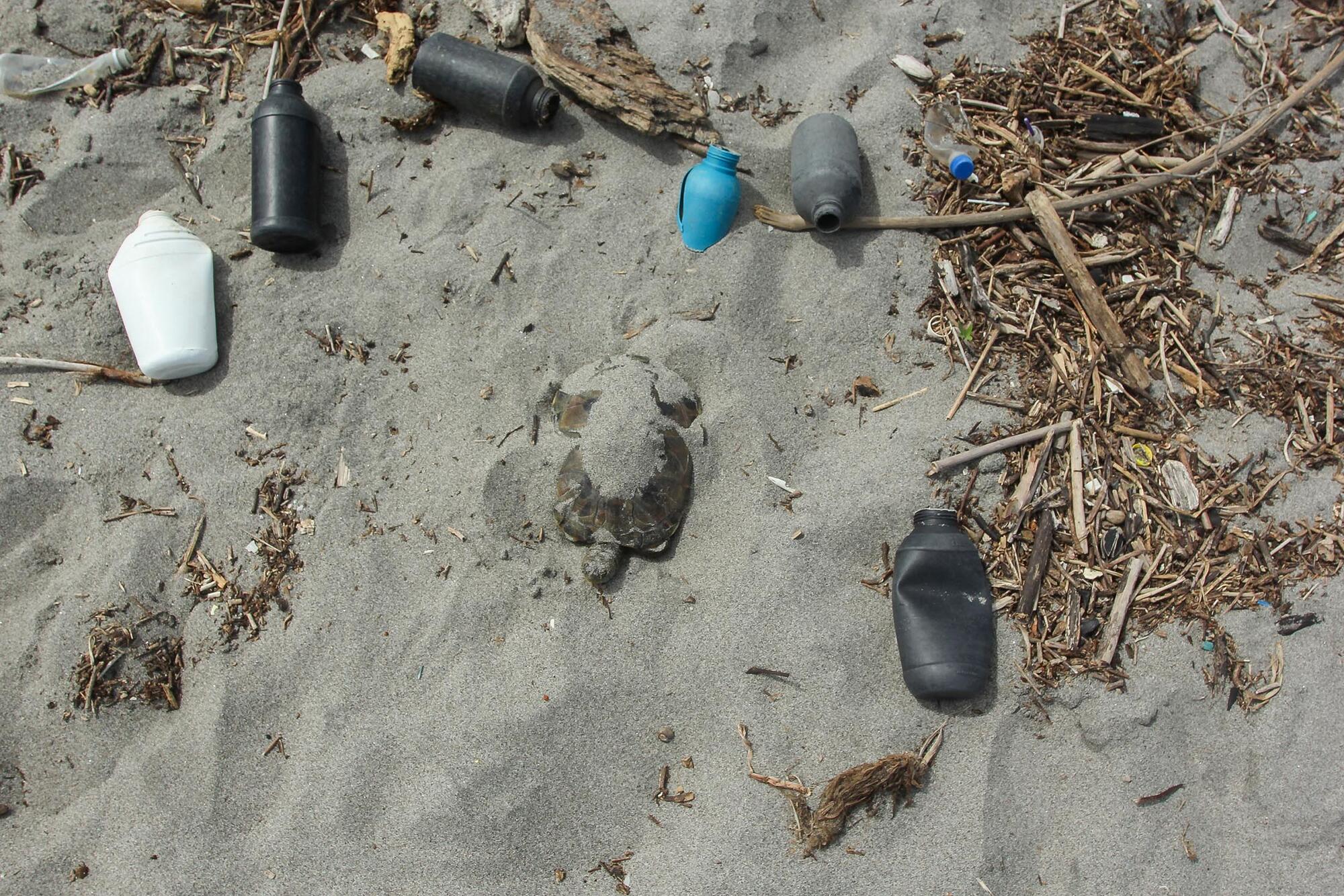 Manglares El Salvador - 3