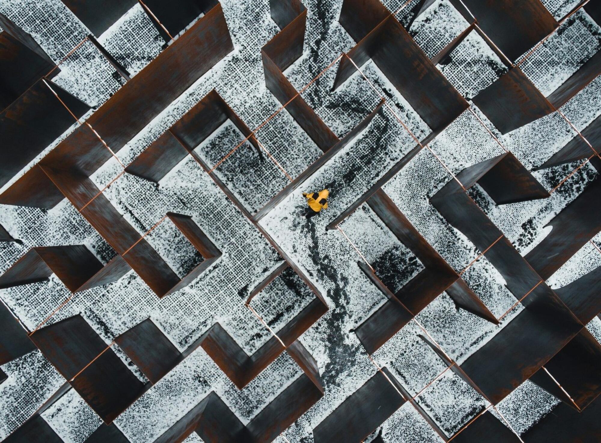 laberinto daniel dalea