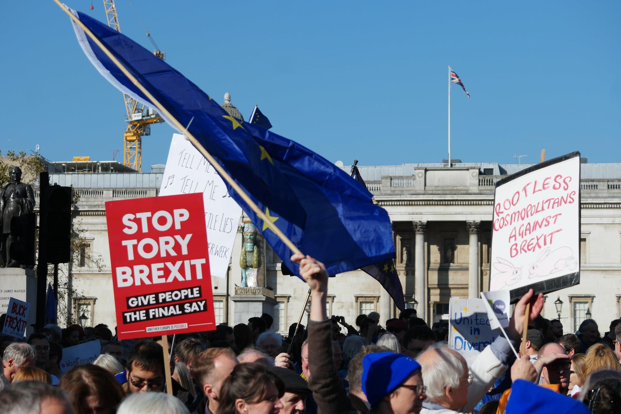 Manifestacion Brexit 2018 Londres