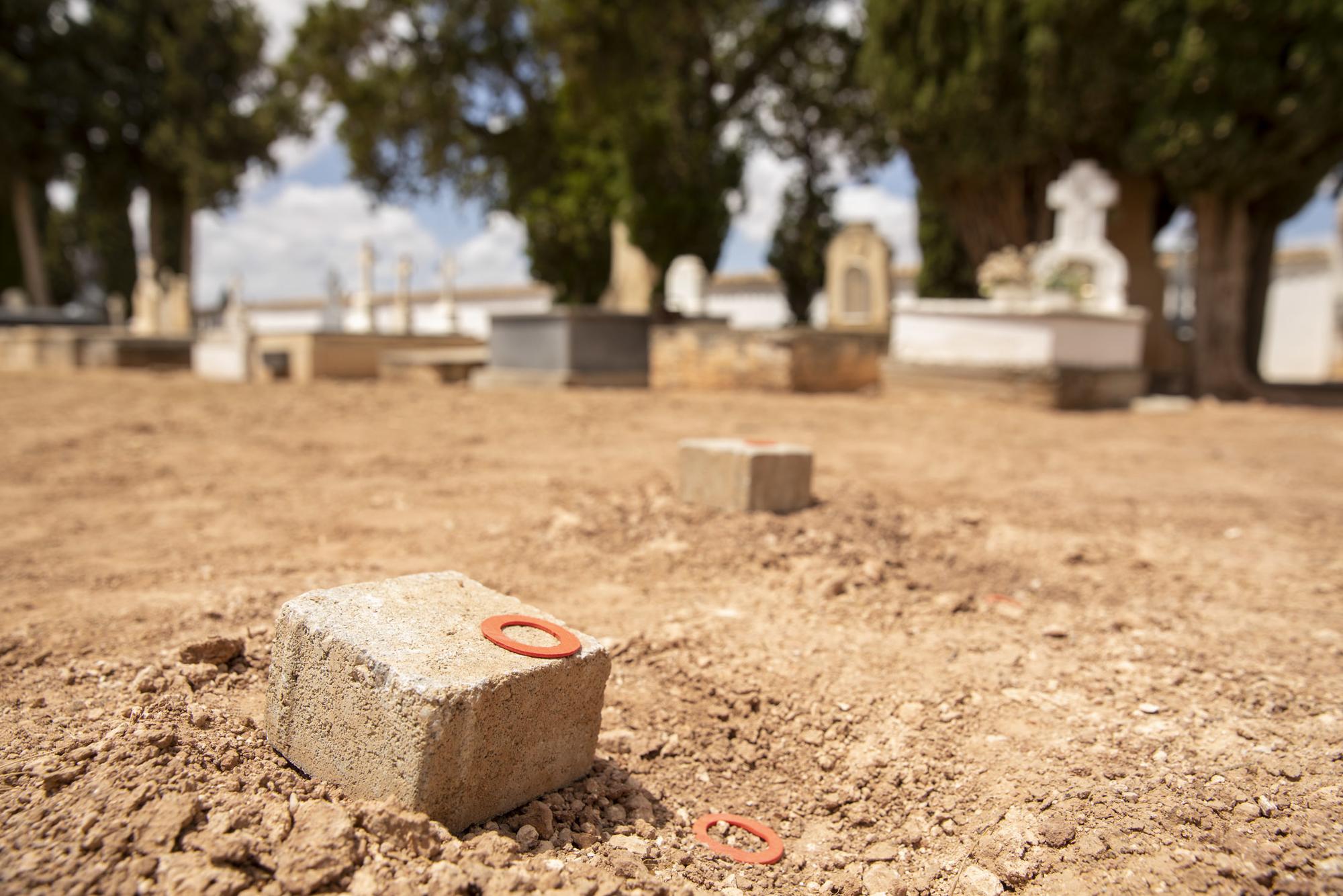 Exhumación de Manzanares en Ciudad Real - 13