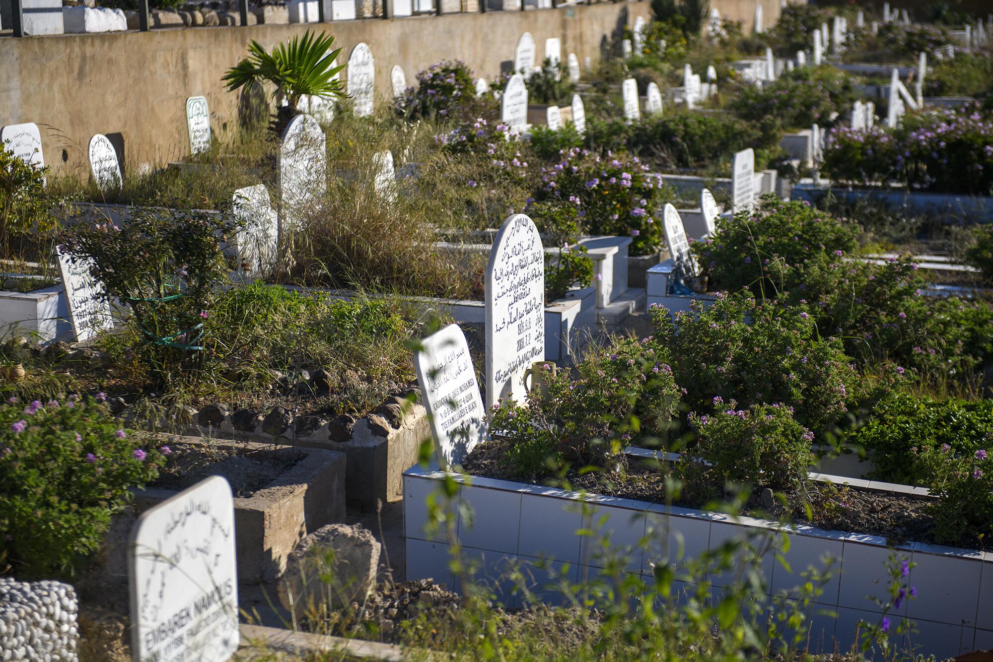 Cementerio Melilla - 1