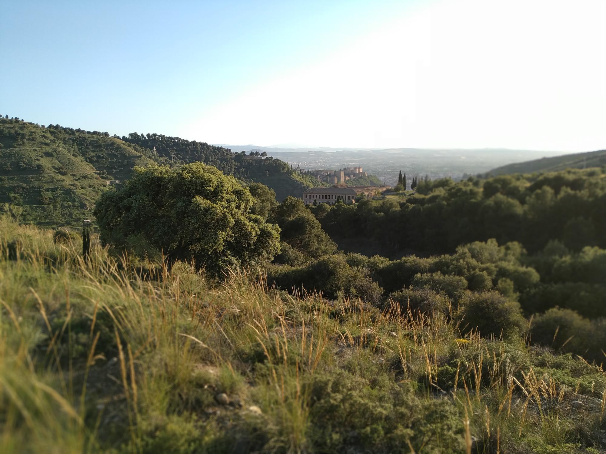 Granada desde el Valle del Darro